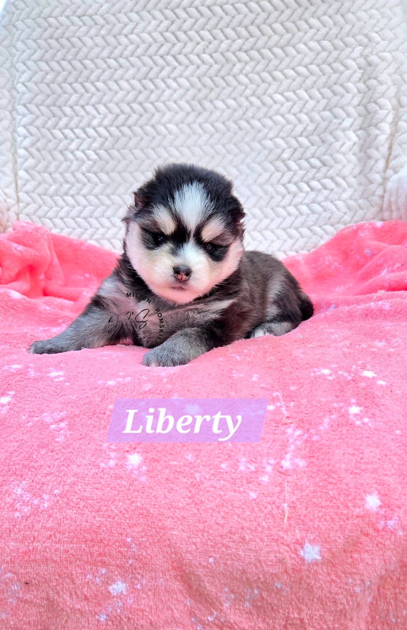 Liberty (FEMALE) Mini