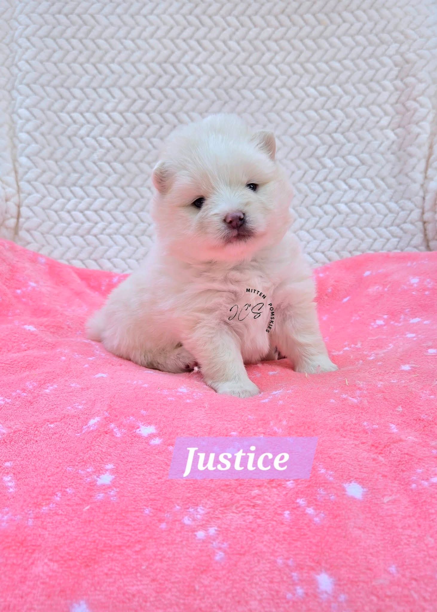 Justice (FEMALE) Mini