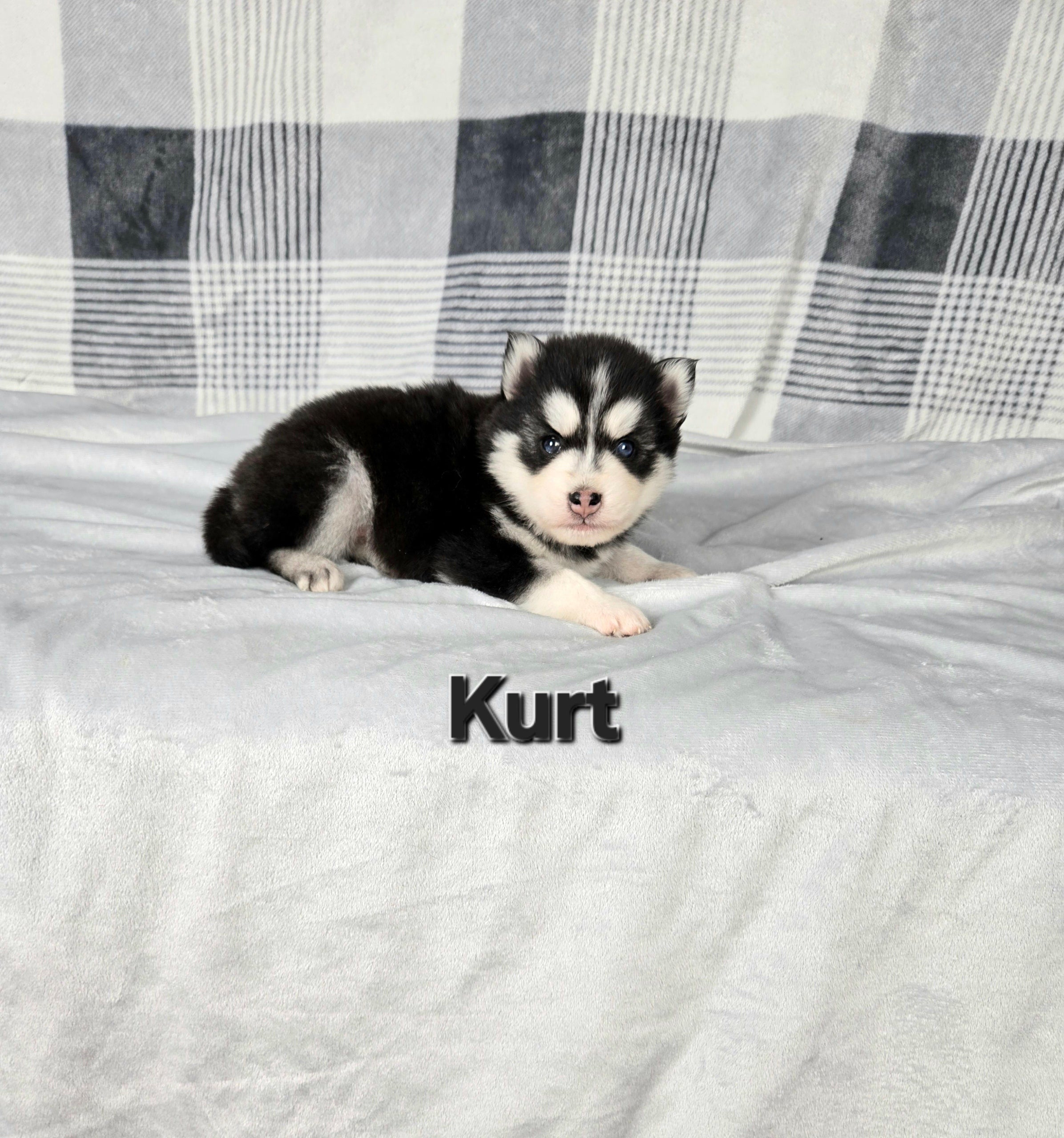 Kurt (MALE)