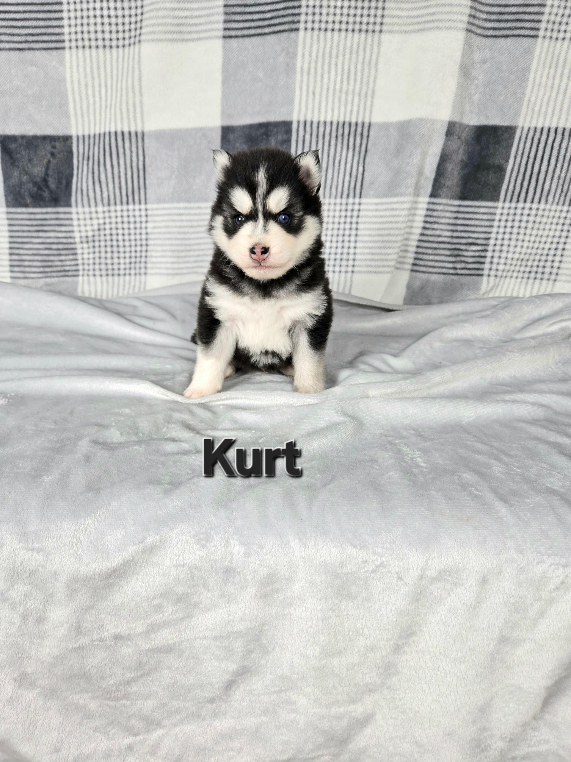 Kurt (MALE)