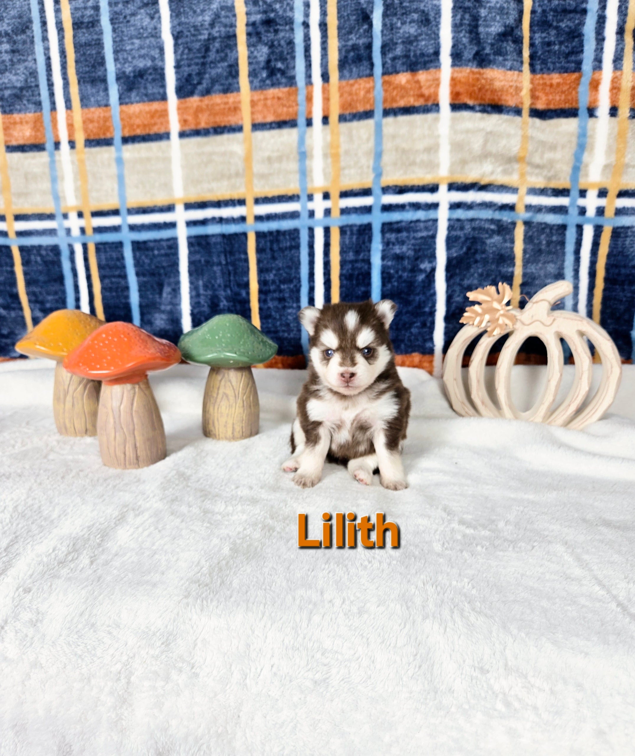 Lilith (FEMALE)