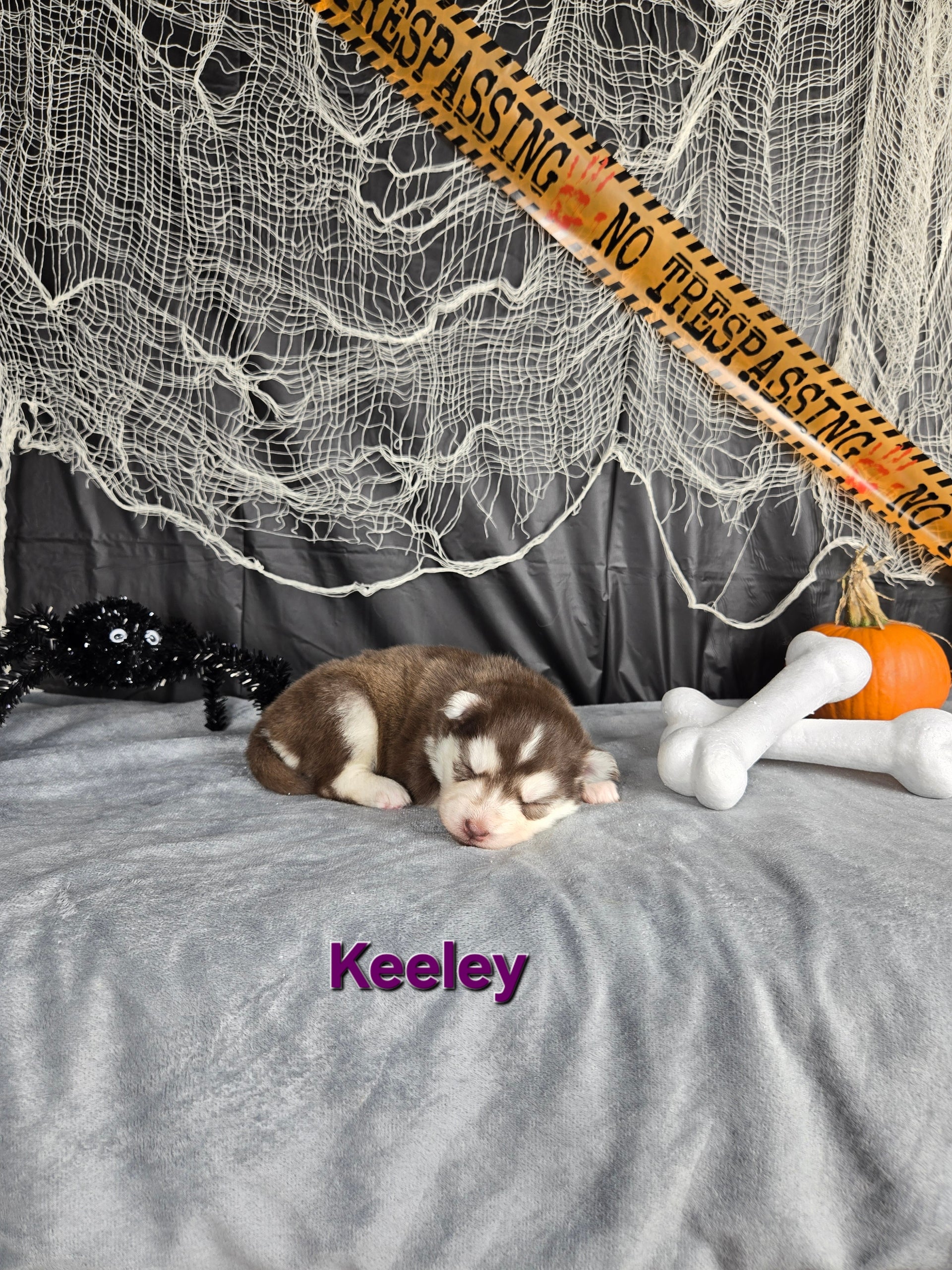 Keeley (FEMALE)