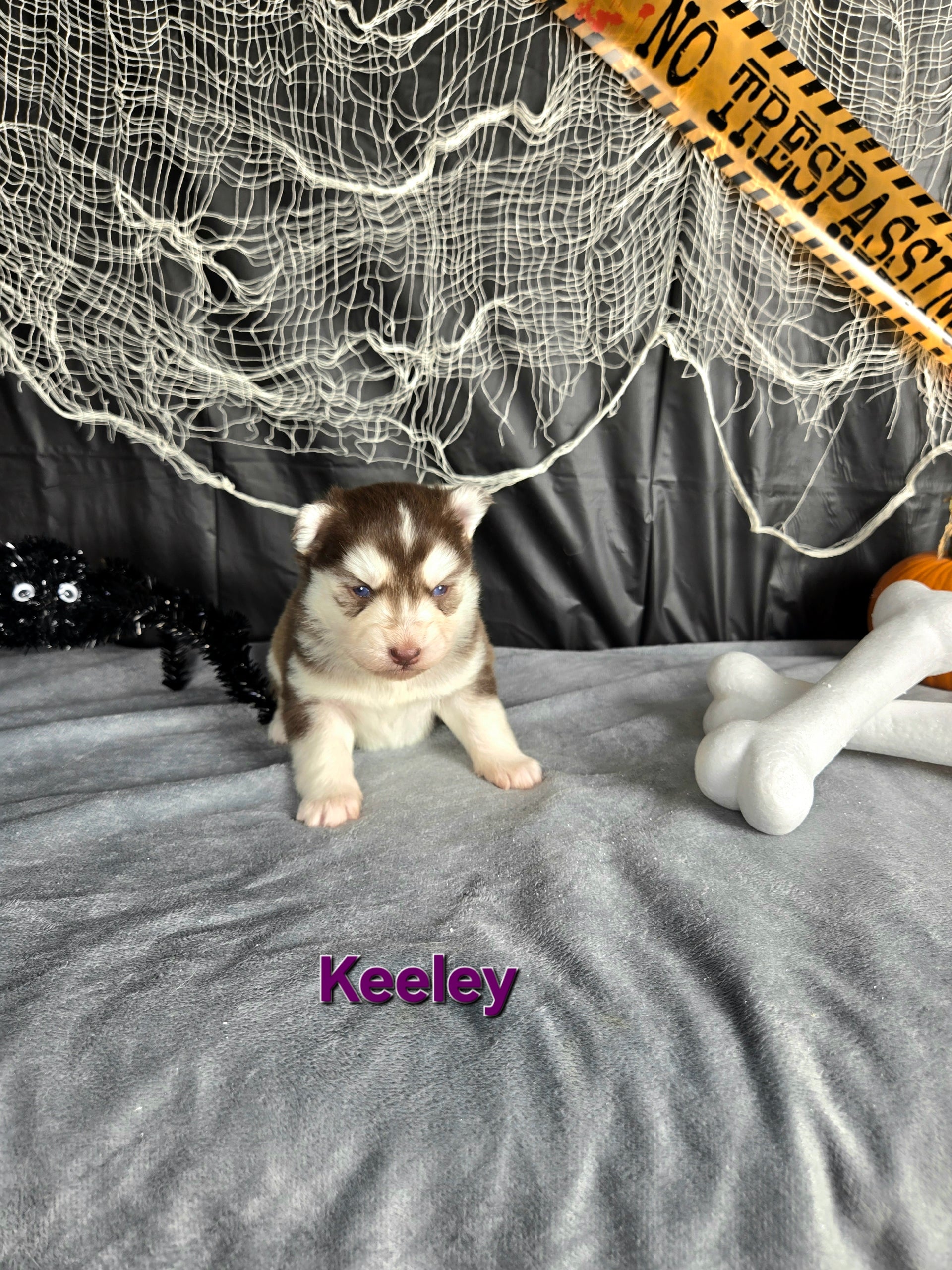 Keeley (FEMALE)