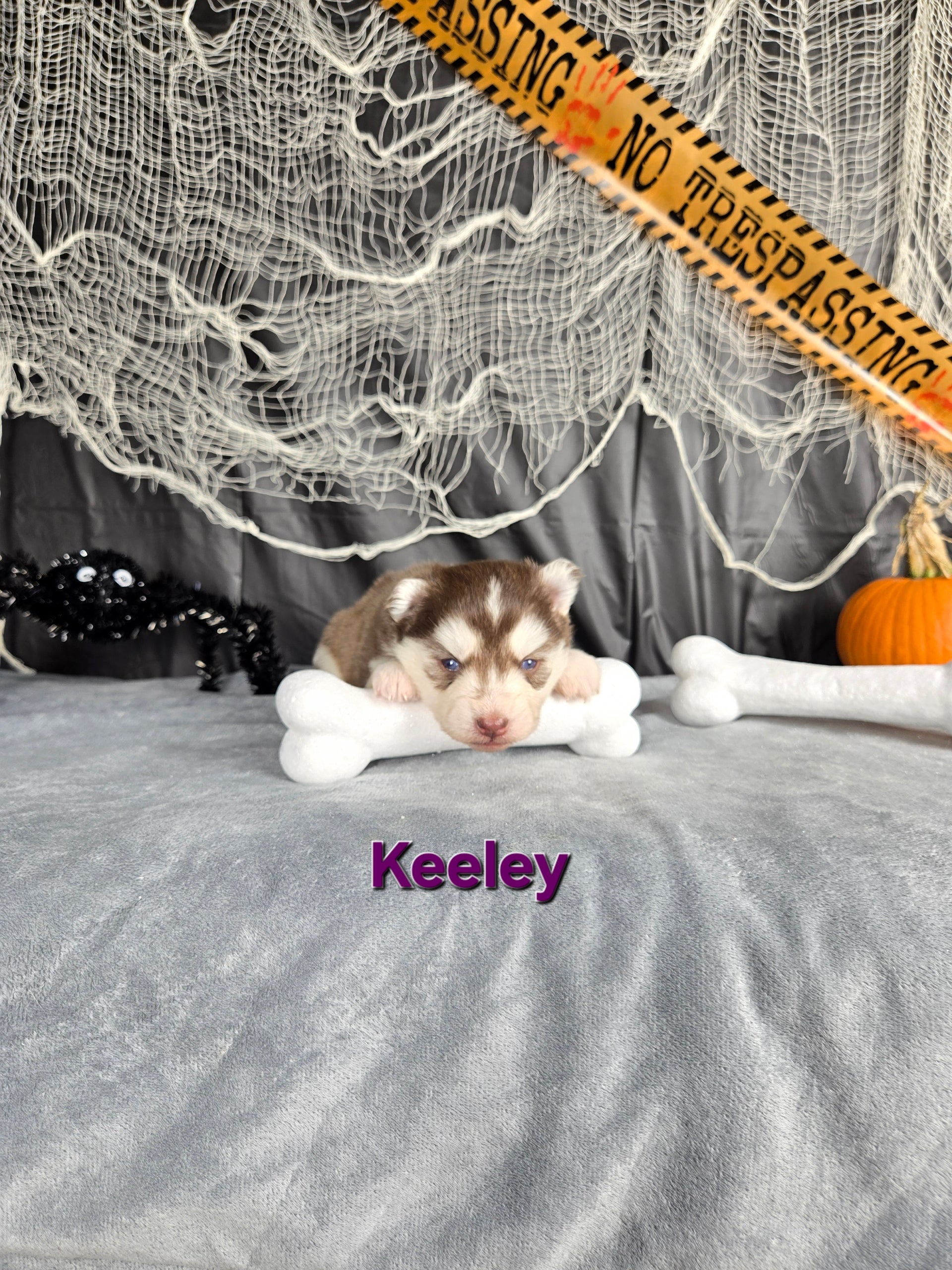 Keeley (FEMALE)