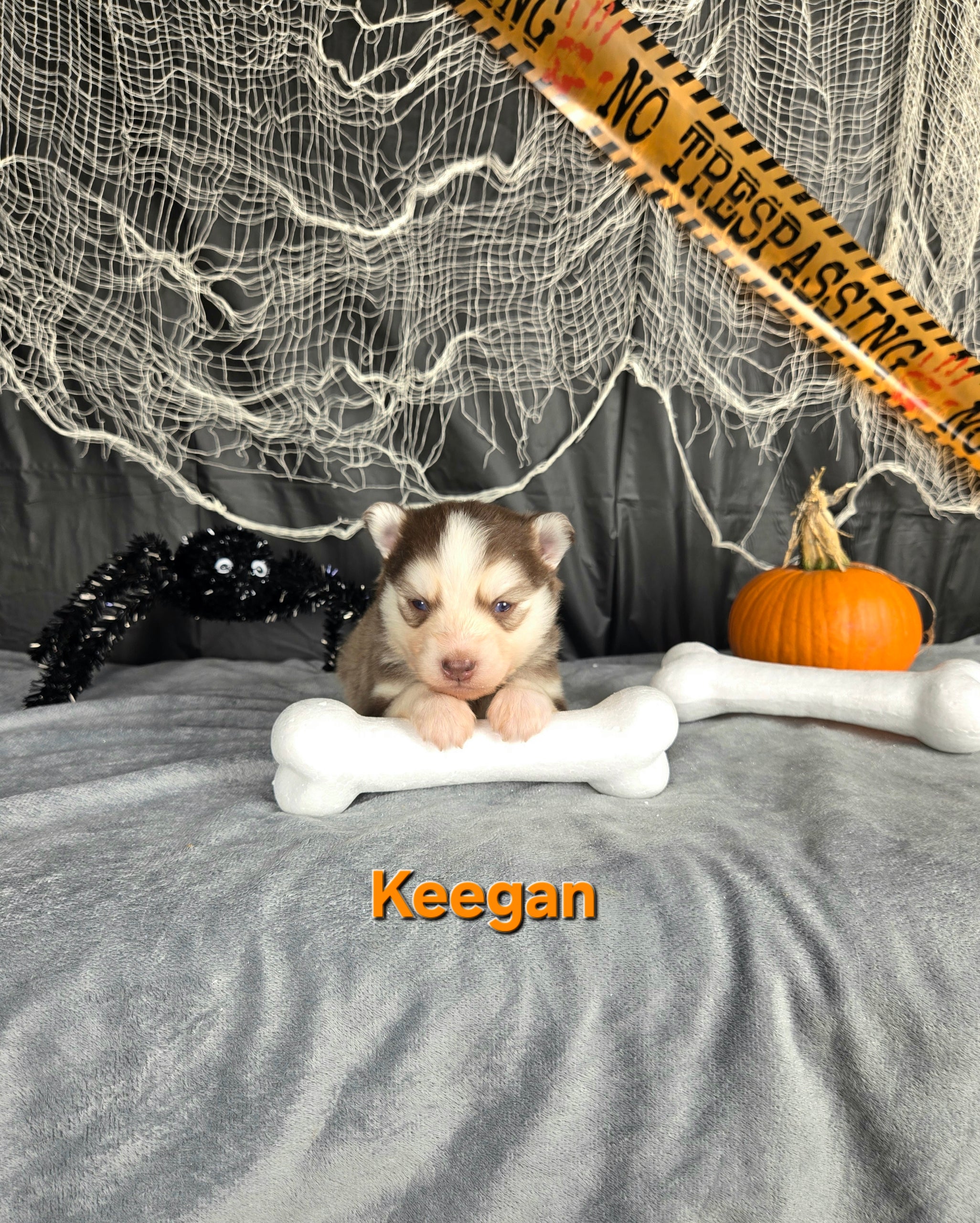 Keegan (MALE)