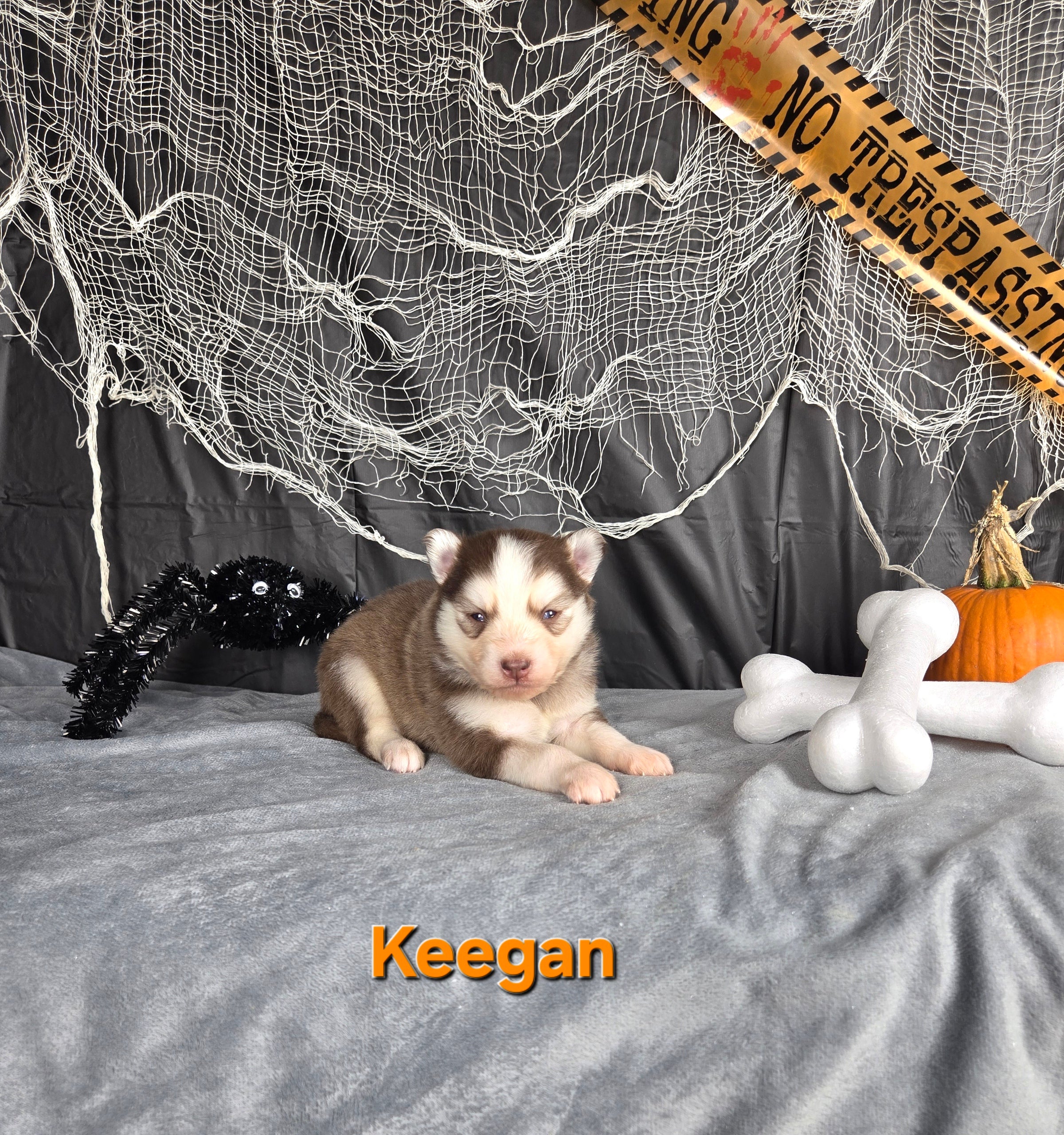 Keegan (MALE)