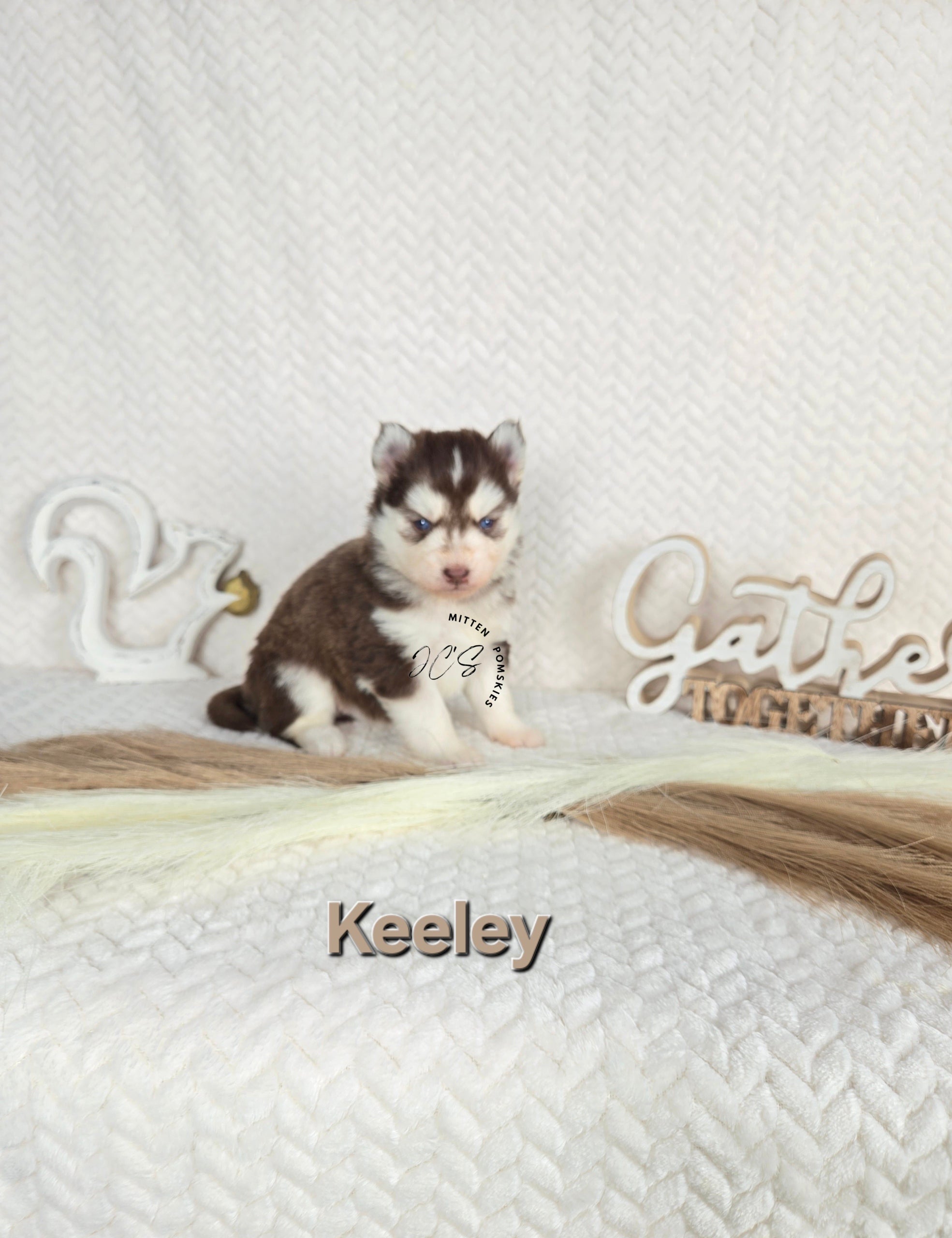 Keeley (FEMALE)