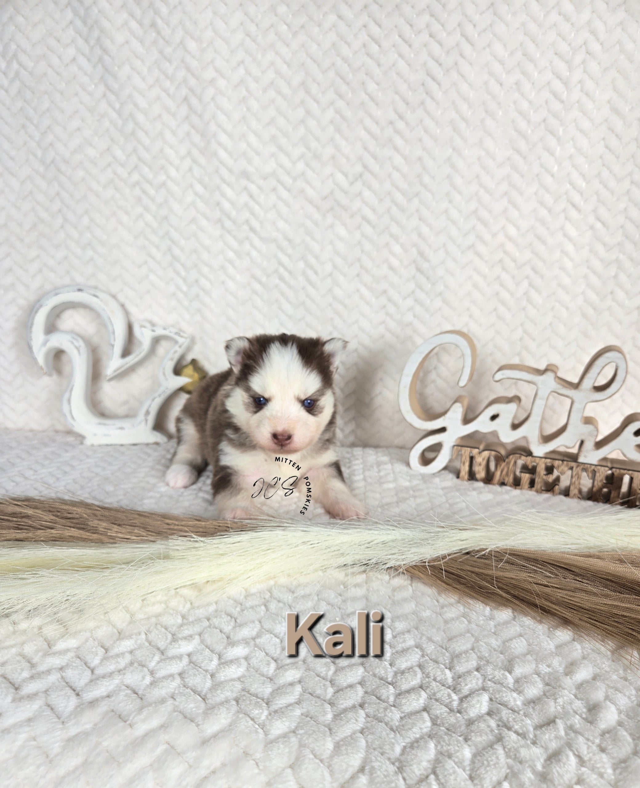 Kali (FEMALE)