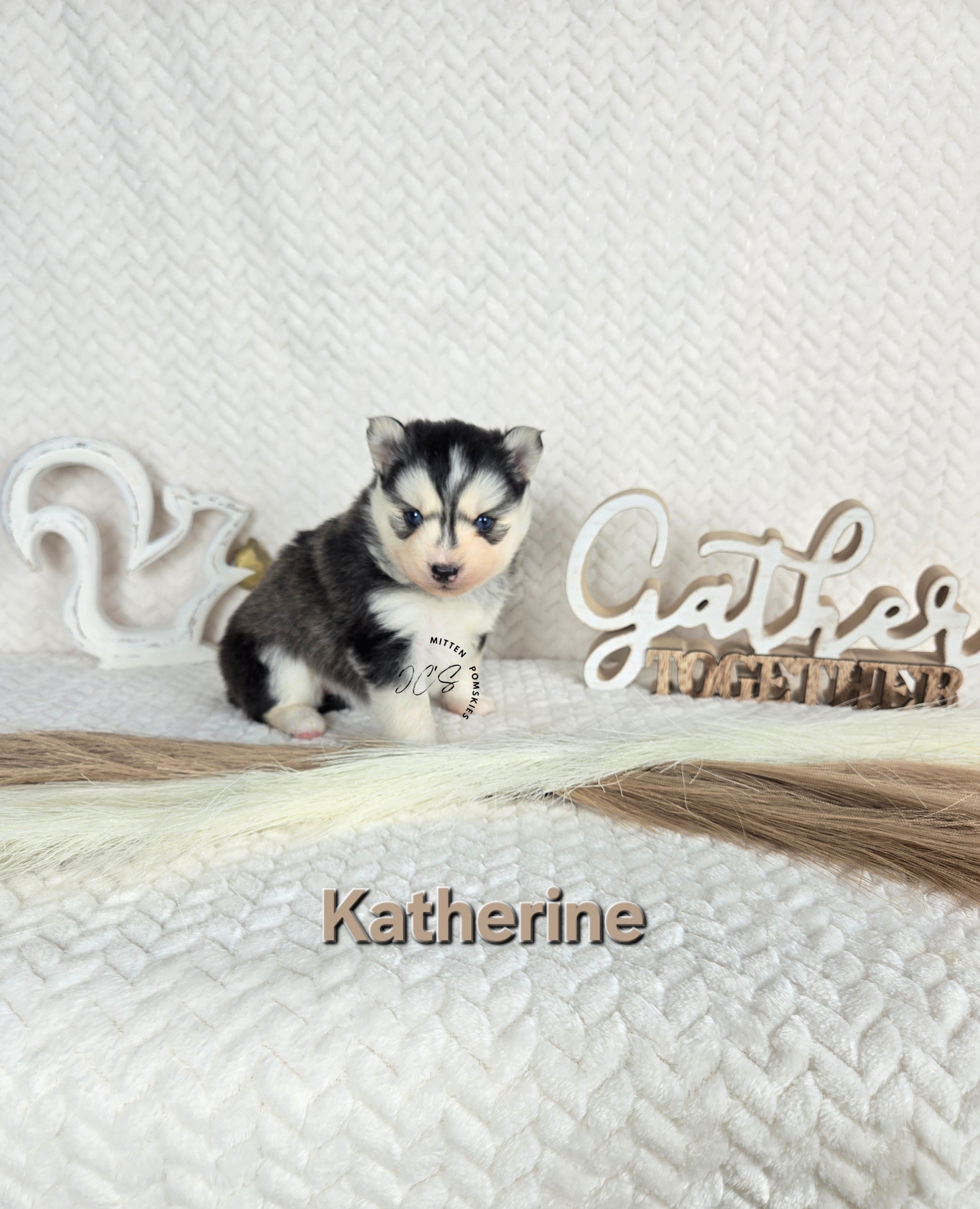 Katherine (FEMALE)