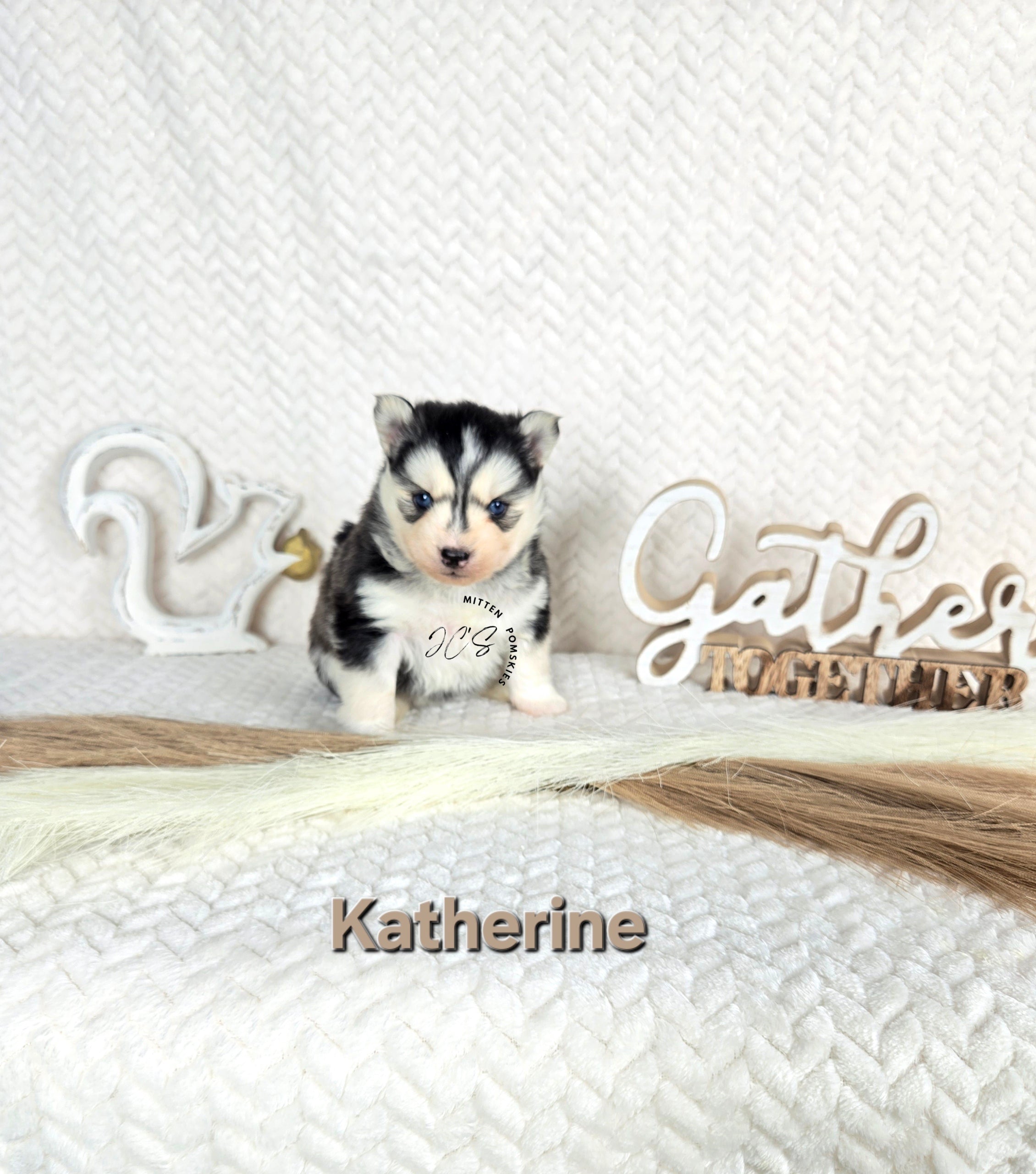 Katherine (FEMALE)