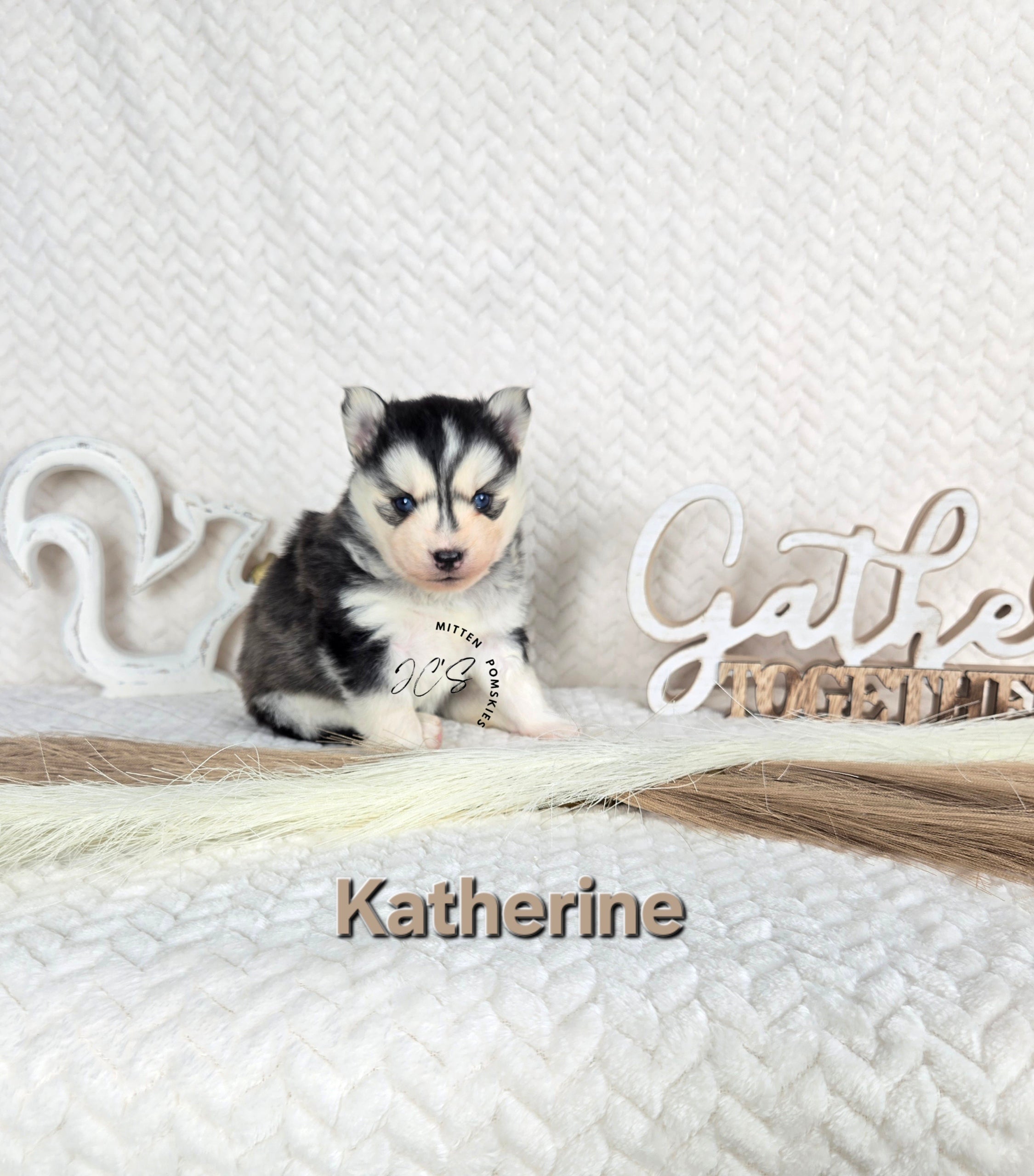 Katherine (FEMALE)