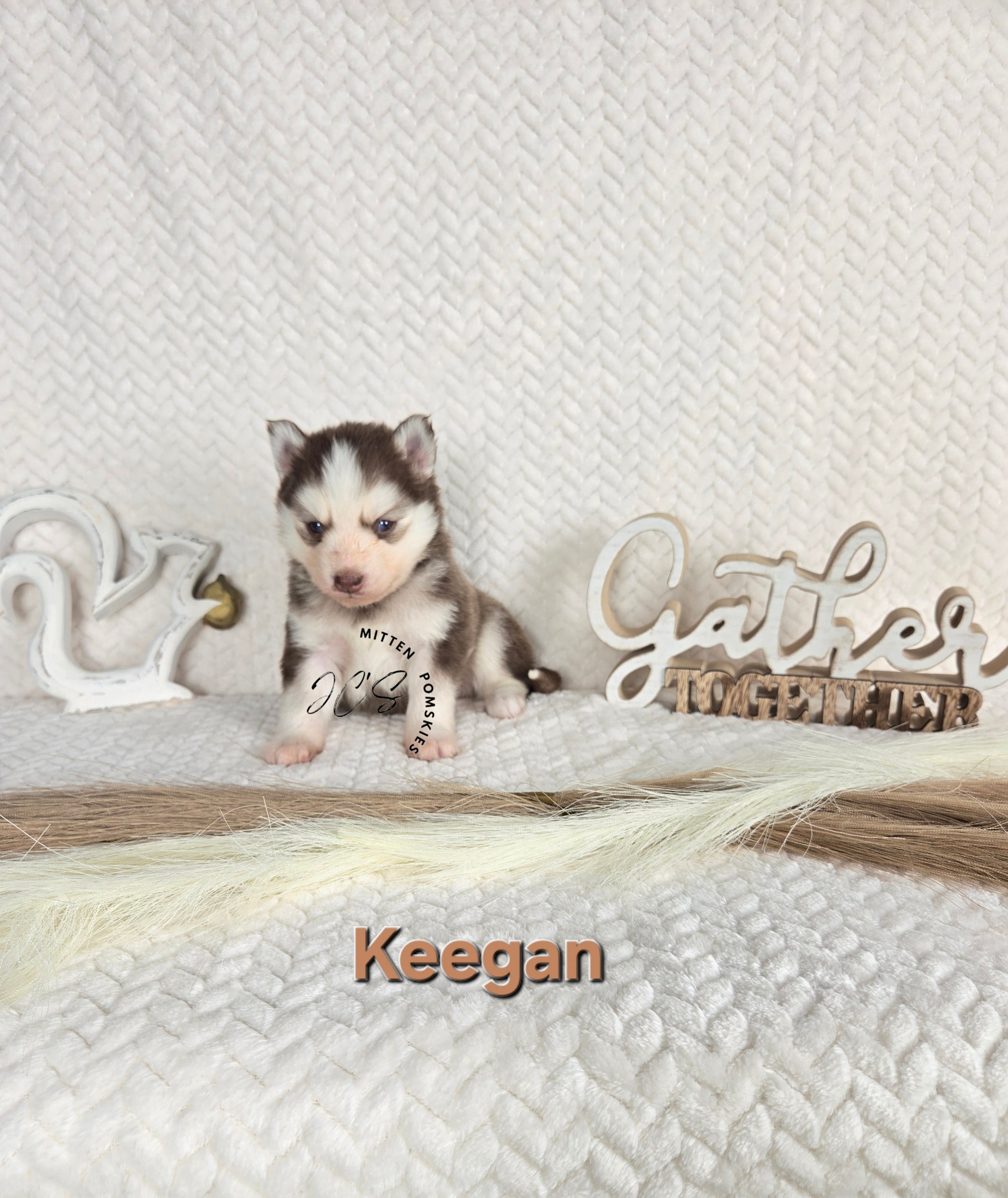 Keegan (MALE)