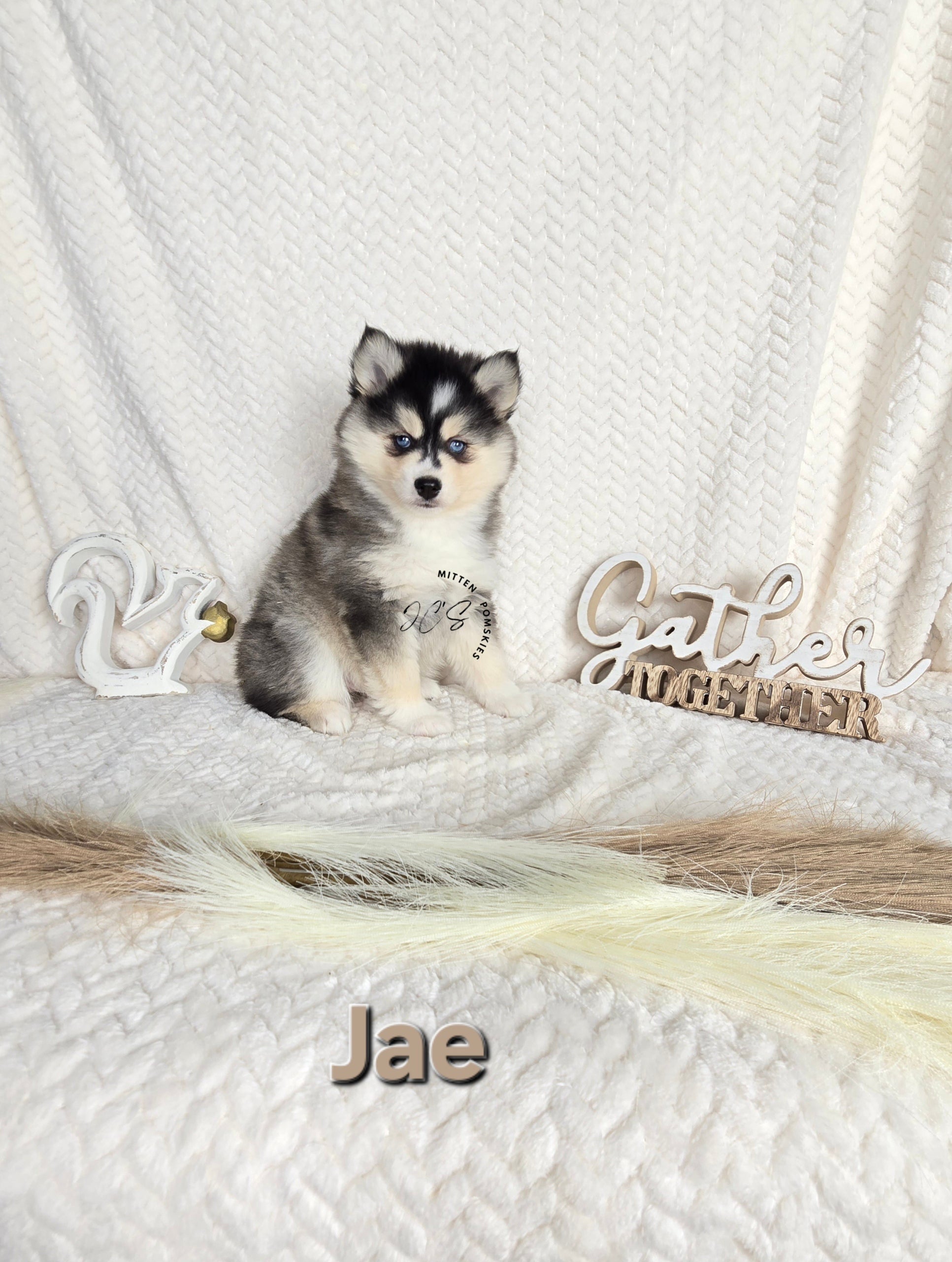 Jae (FEMALE)