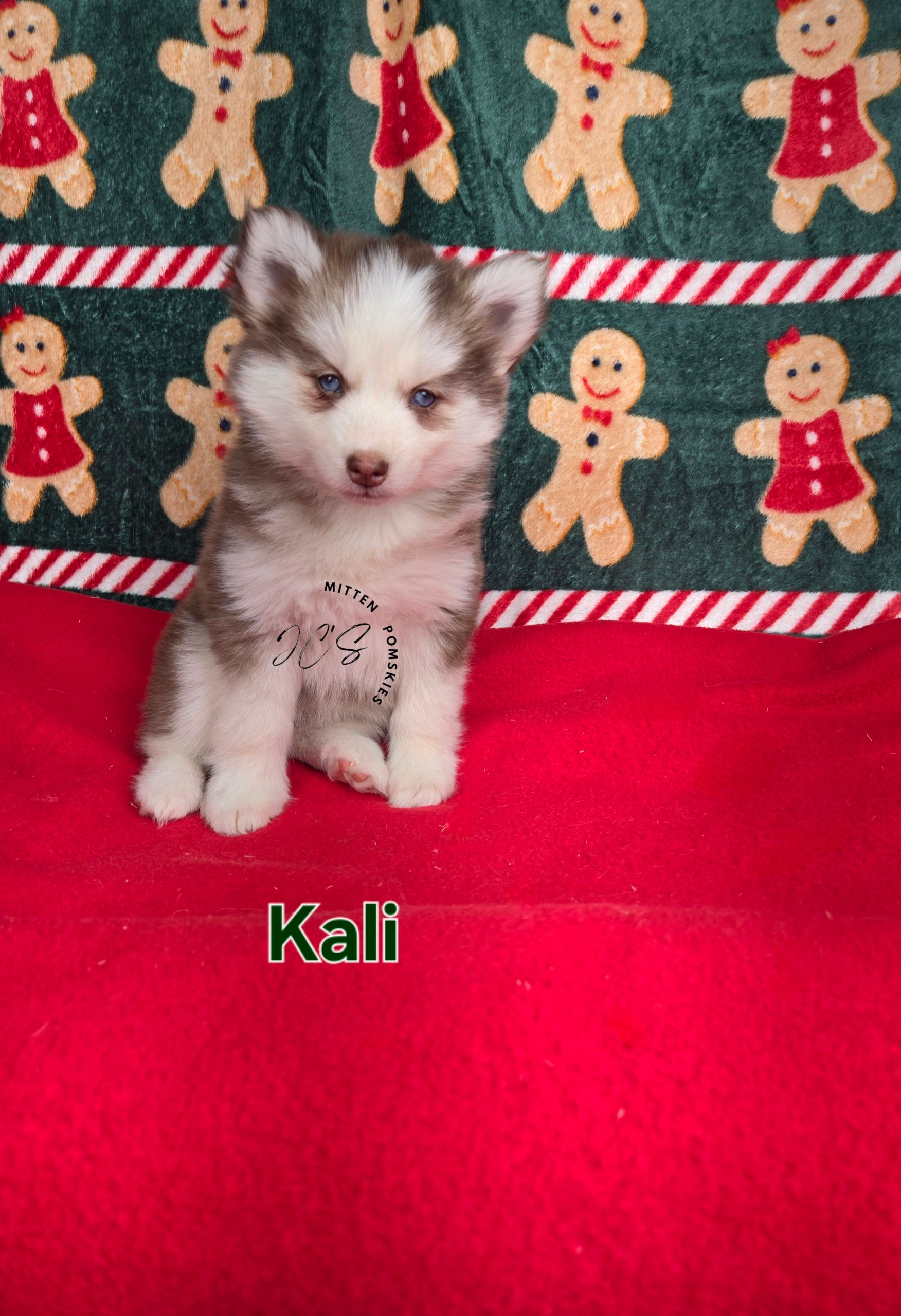 Kali (FEMALE)