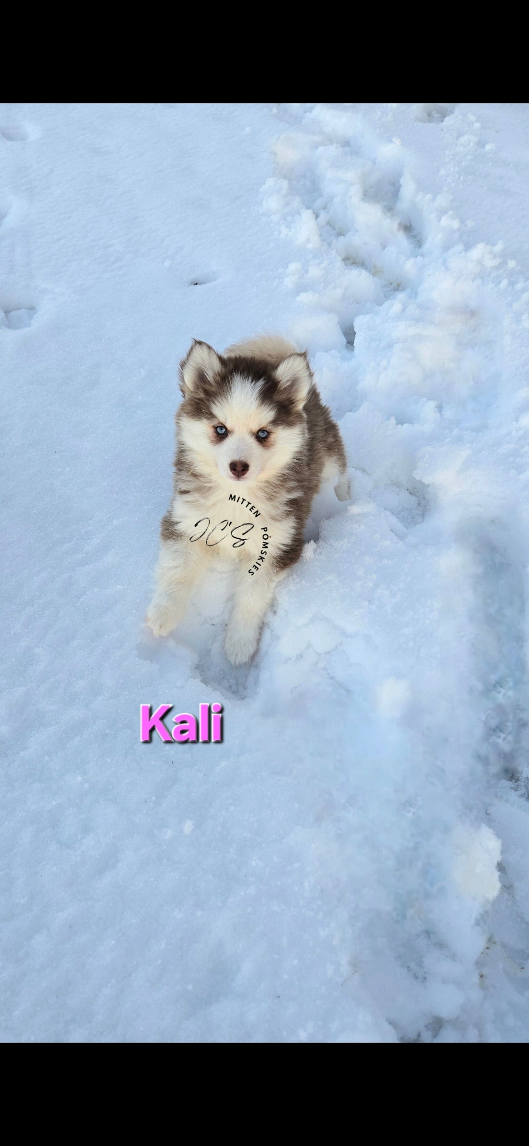 Kali (FEMALE)