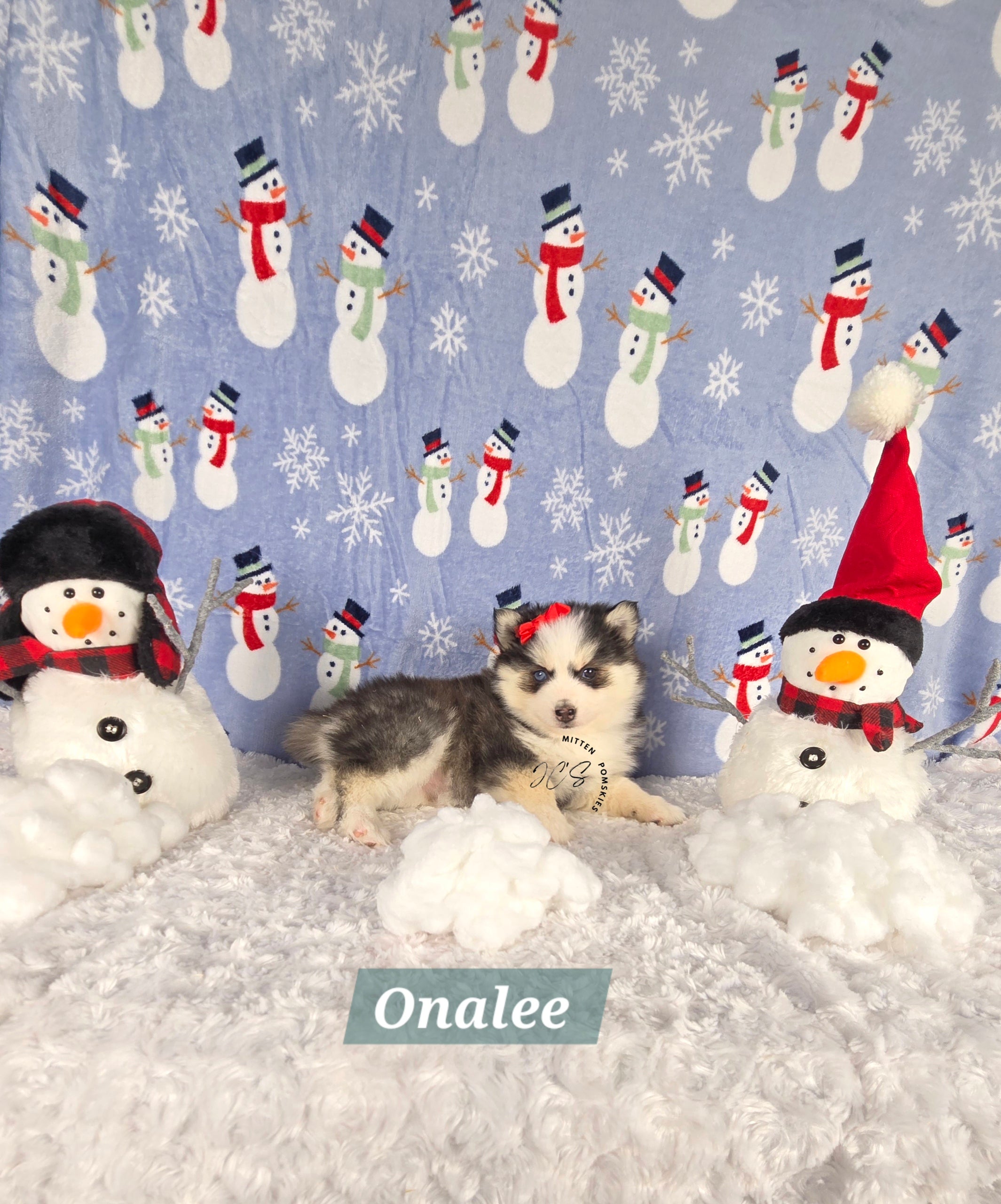 Onalee (FEMALE) Mini