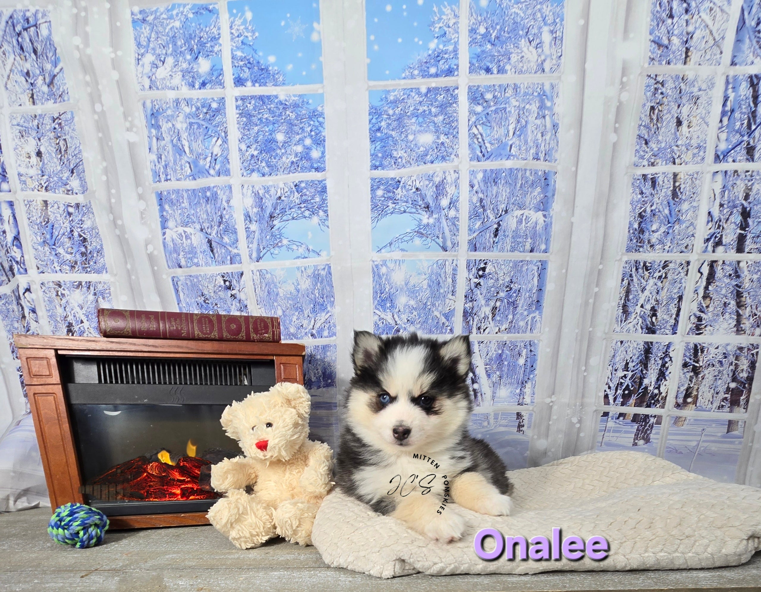 Onalee (FEMALE) Mini