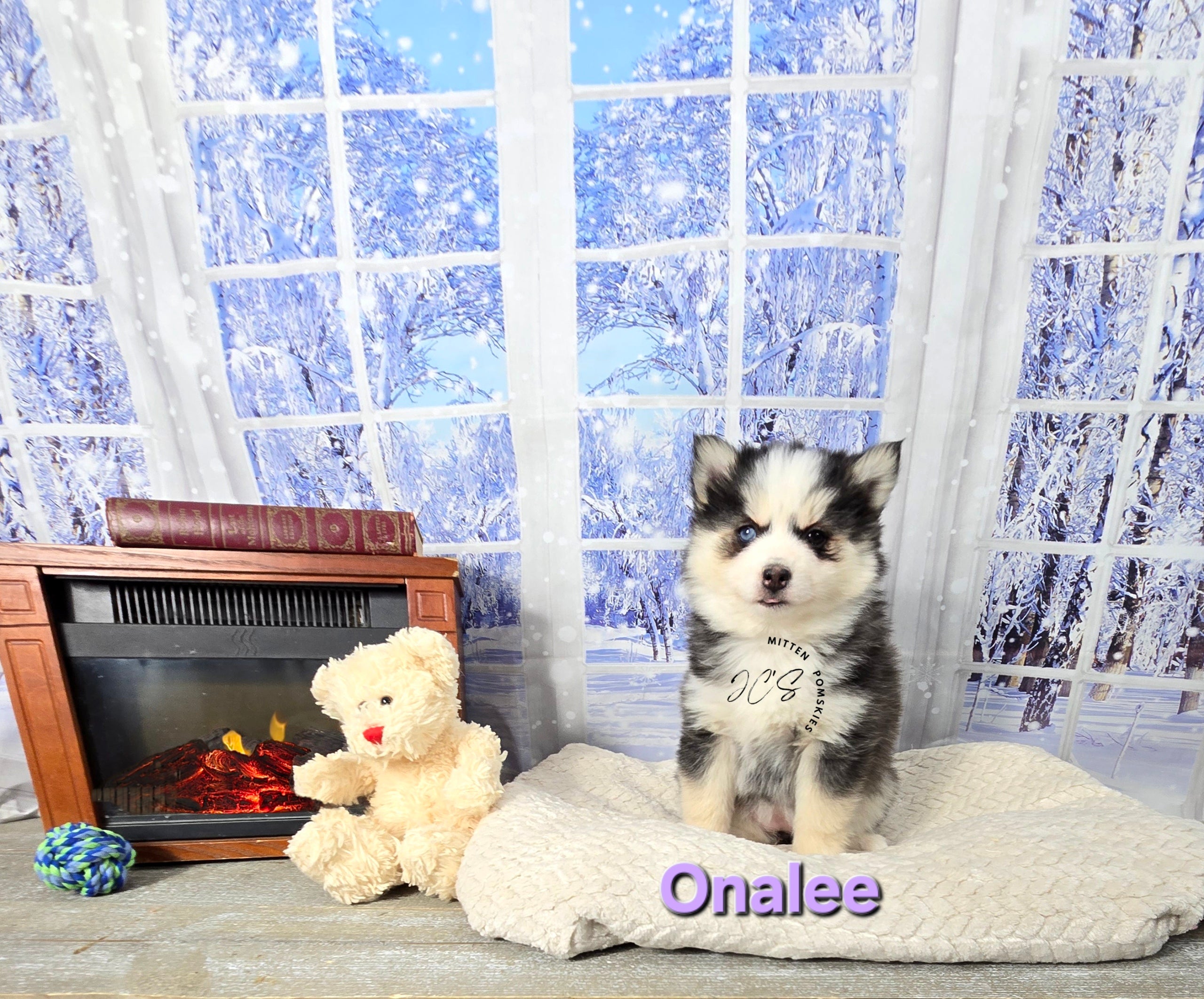 Onalee (FEMALE) Mini