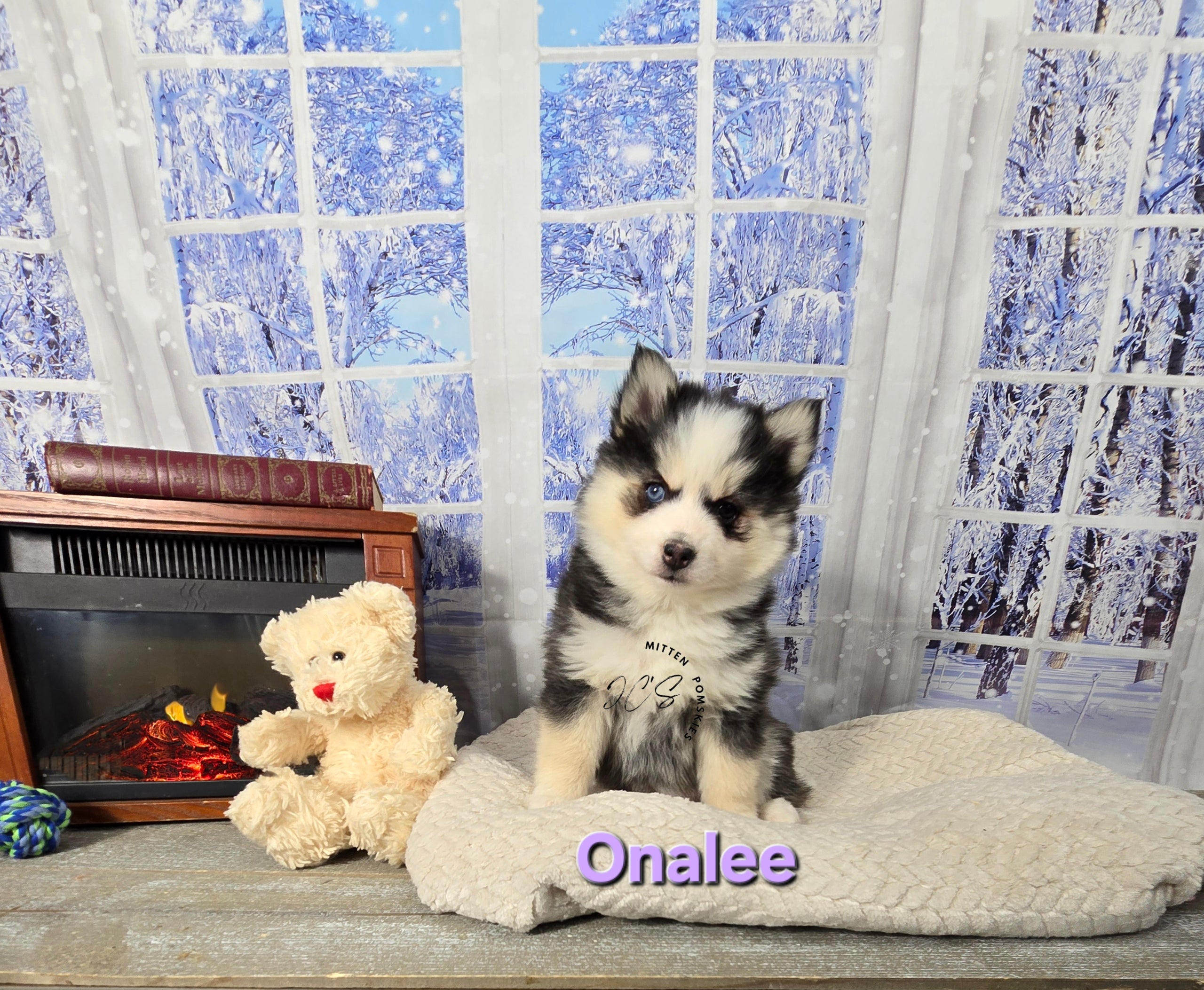 Onalee (FEMALE) Mini