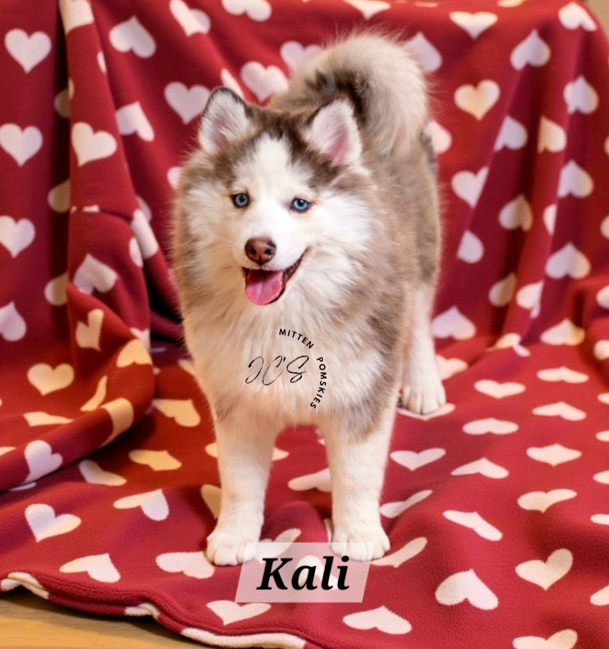 Kali (FEMALE)