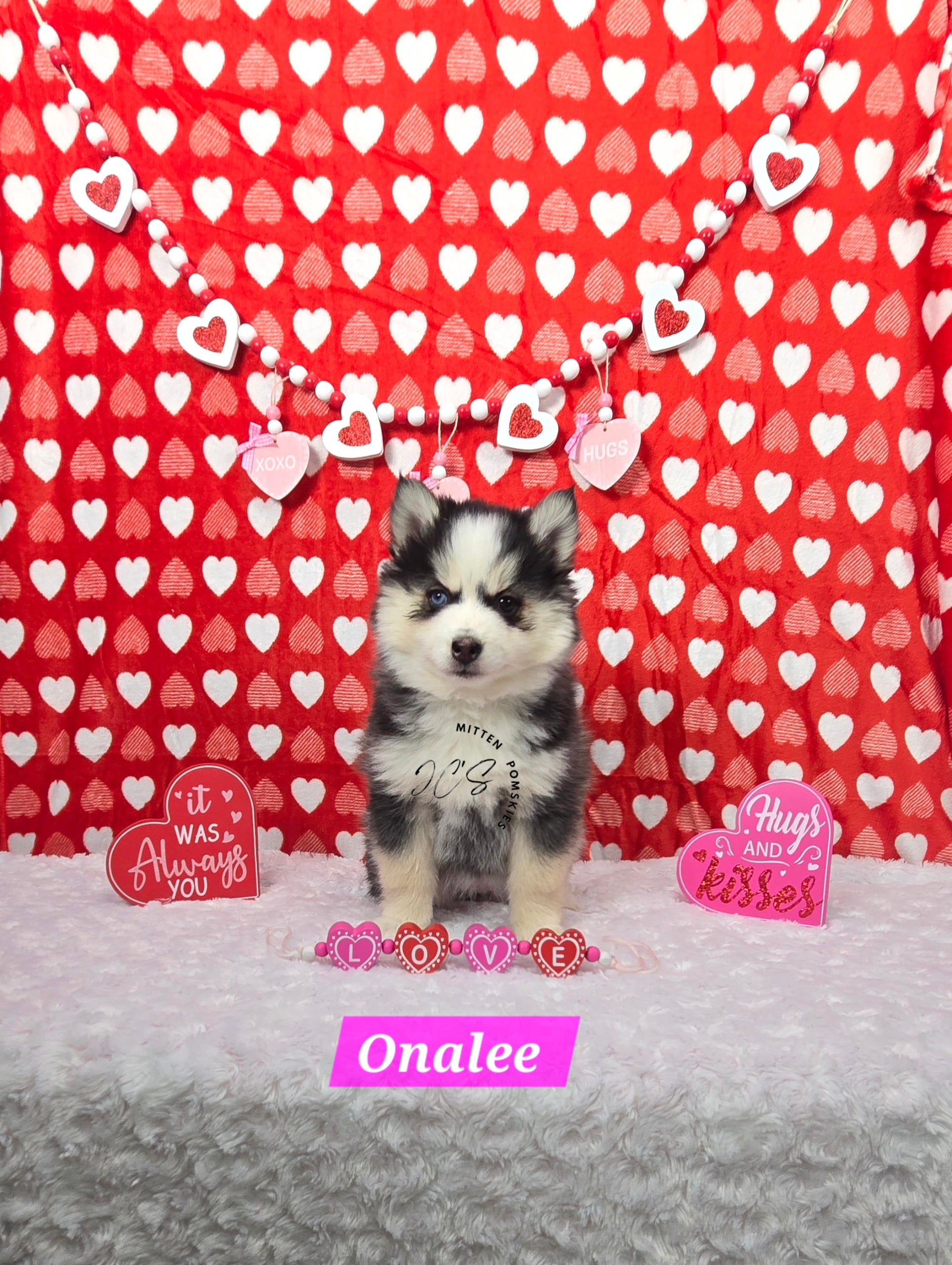 Onalee (FEMALE) Mini
