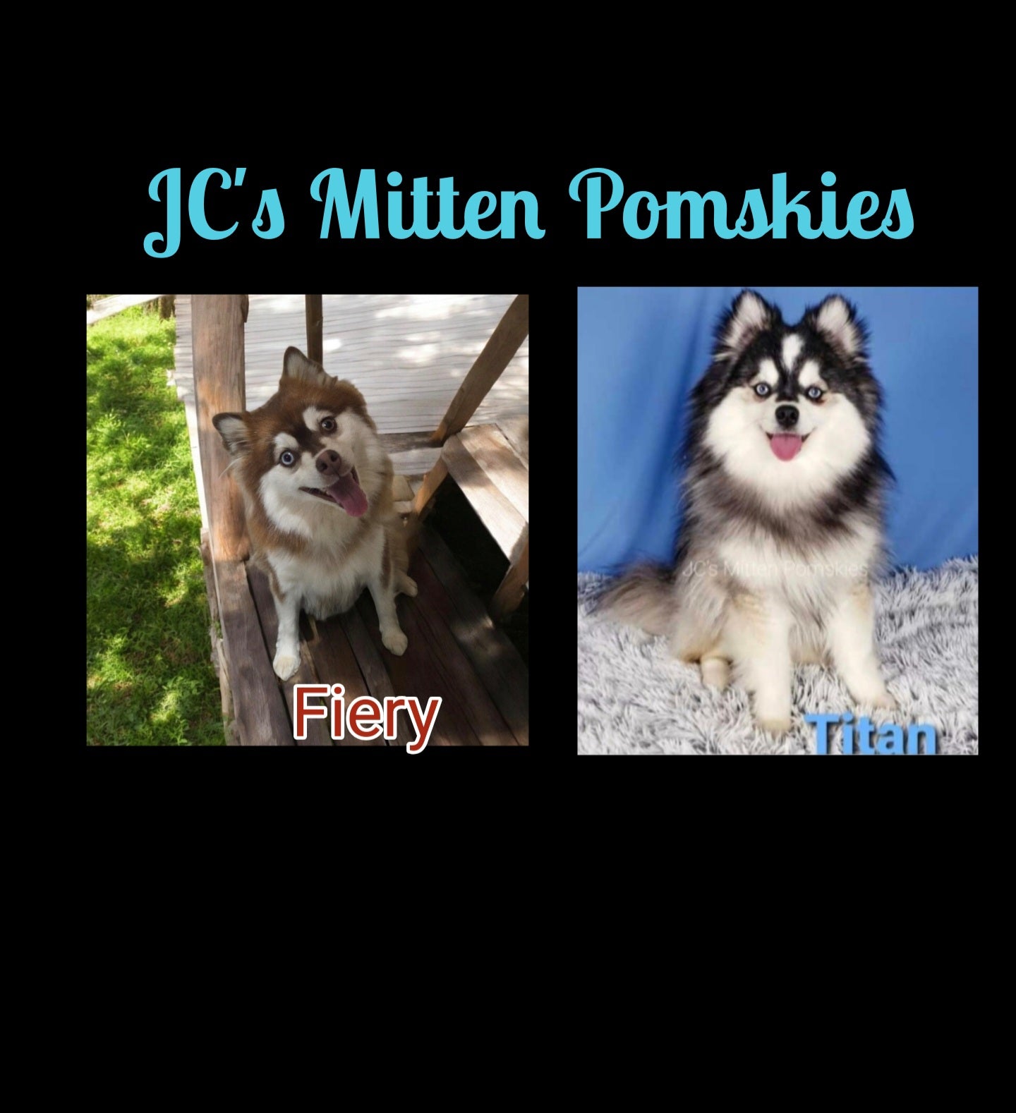 Magdalene (FEMALE) Micro/Mini