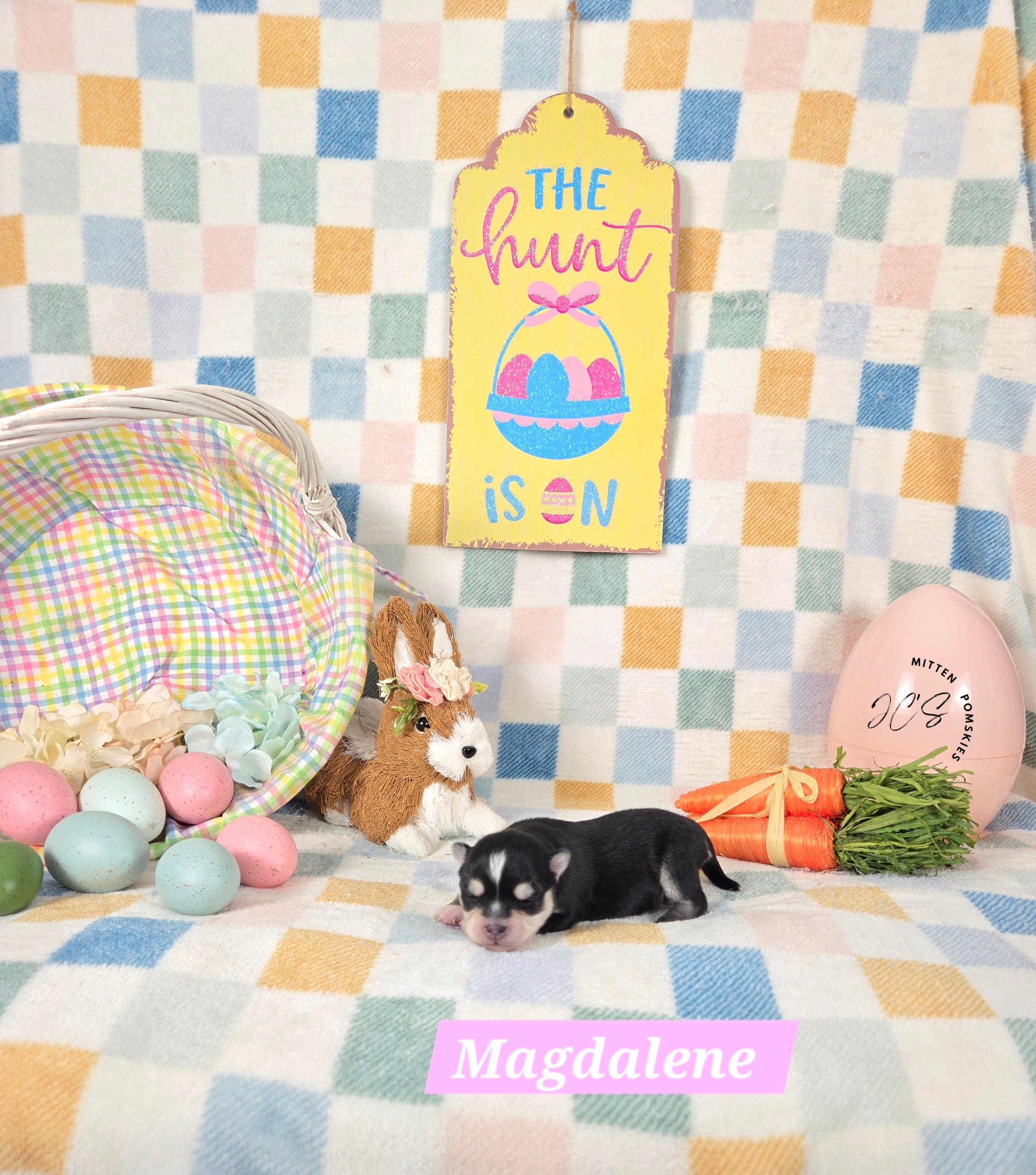 Magdalene (FEMALE) Micro/Mini