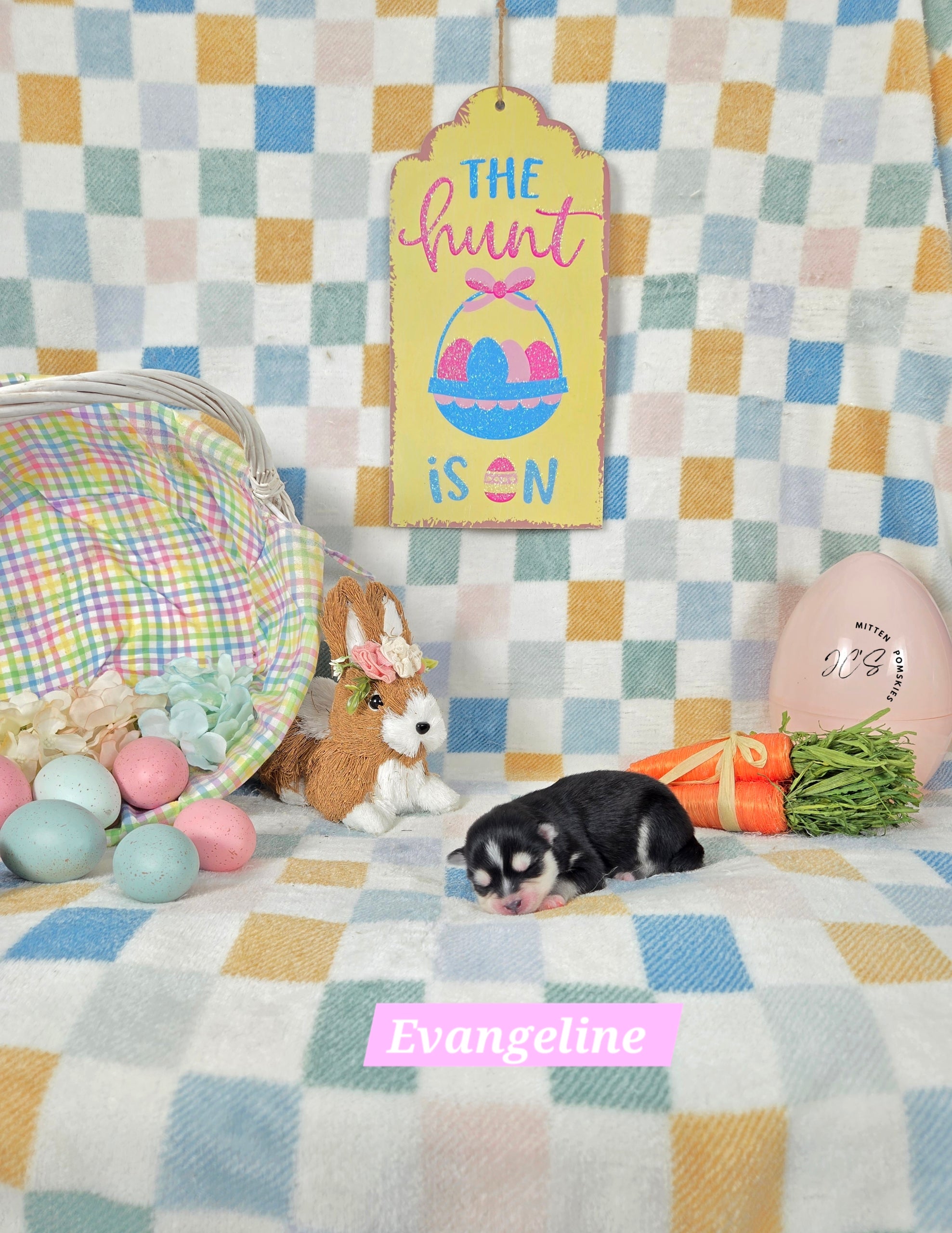 Evangeline (FEMALE) Micro/Mini