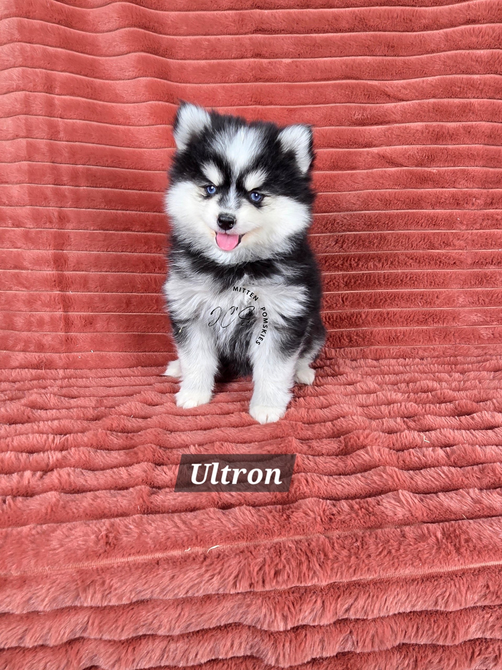 Ultron (MALE) Micro/Mini