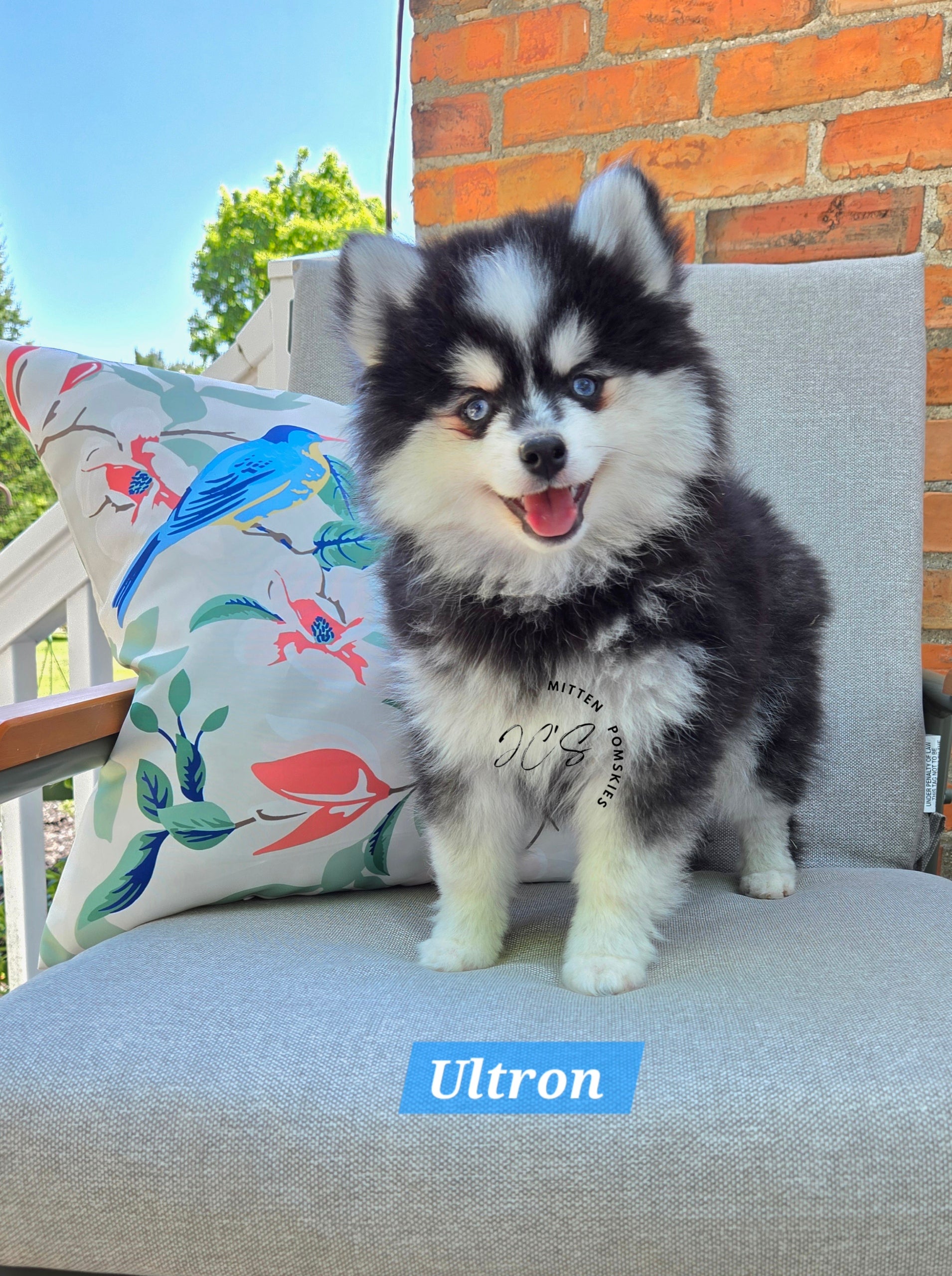 Ultron (MALE) Micro/Mini