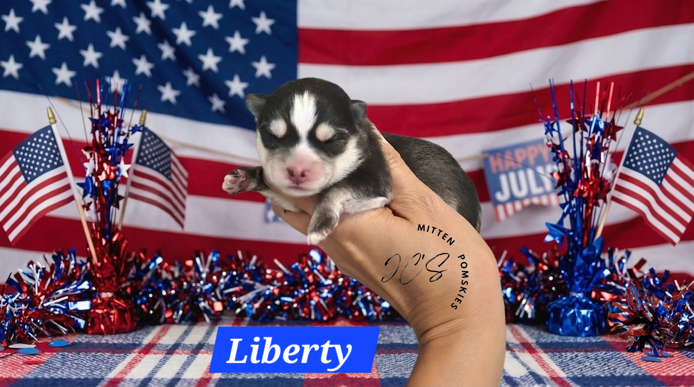 Liberty (FEMALE) Mini