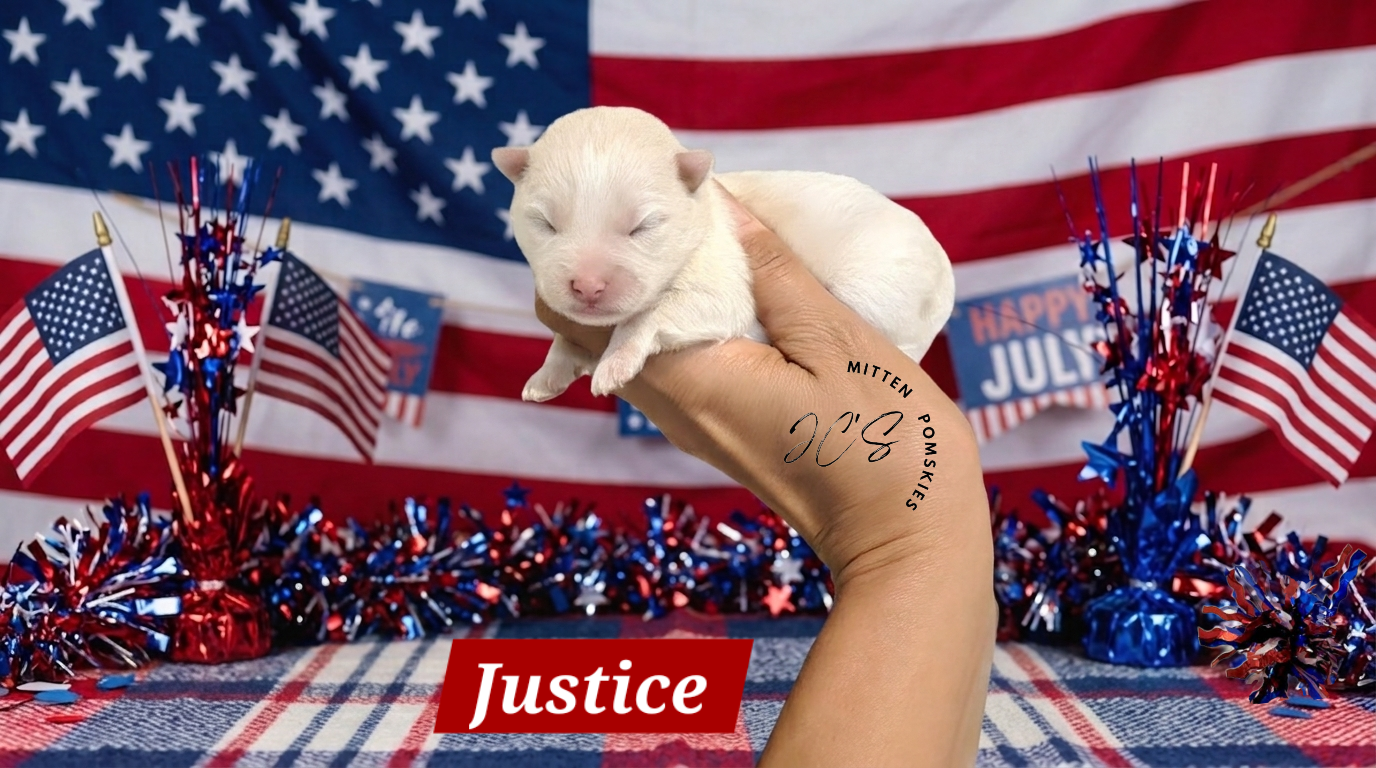 Justice (FEMALE) Mini