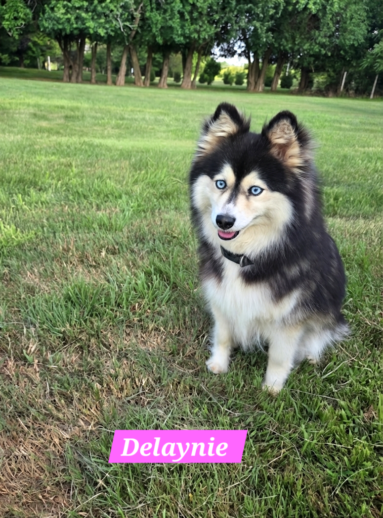 Delaynie (FEMALE)
