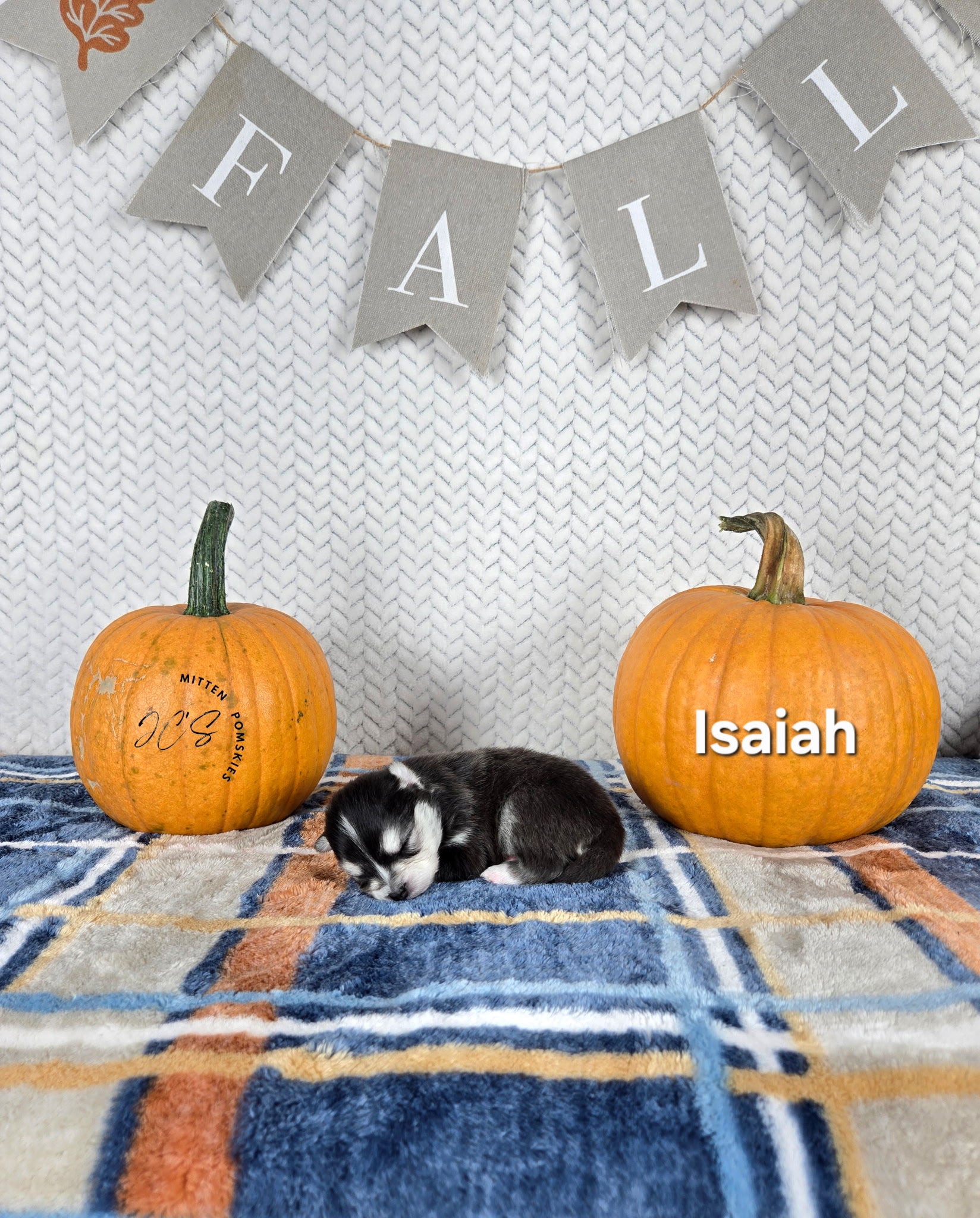 Isaiah (MALE) Micro