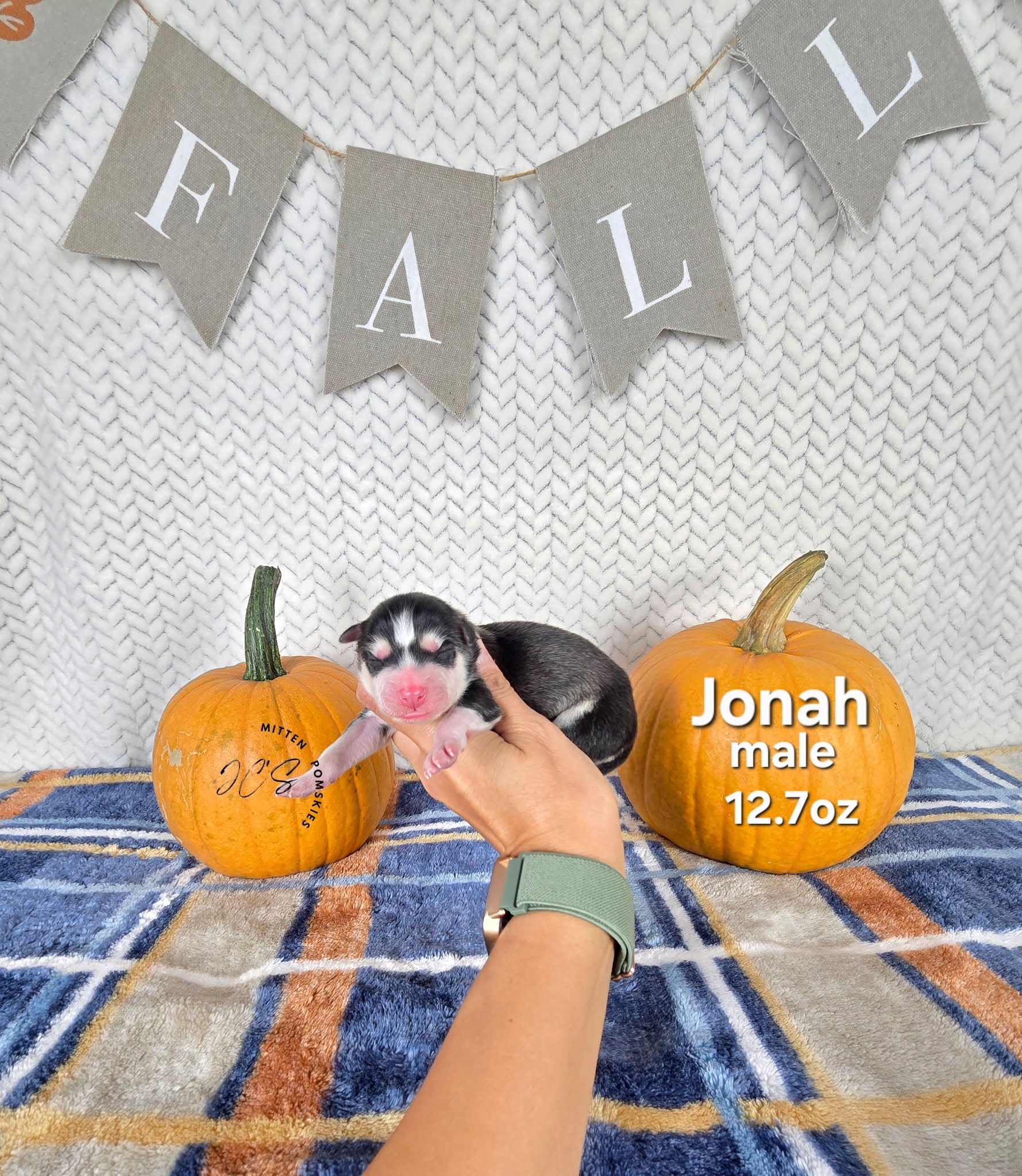 Jonah (MALE)