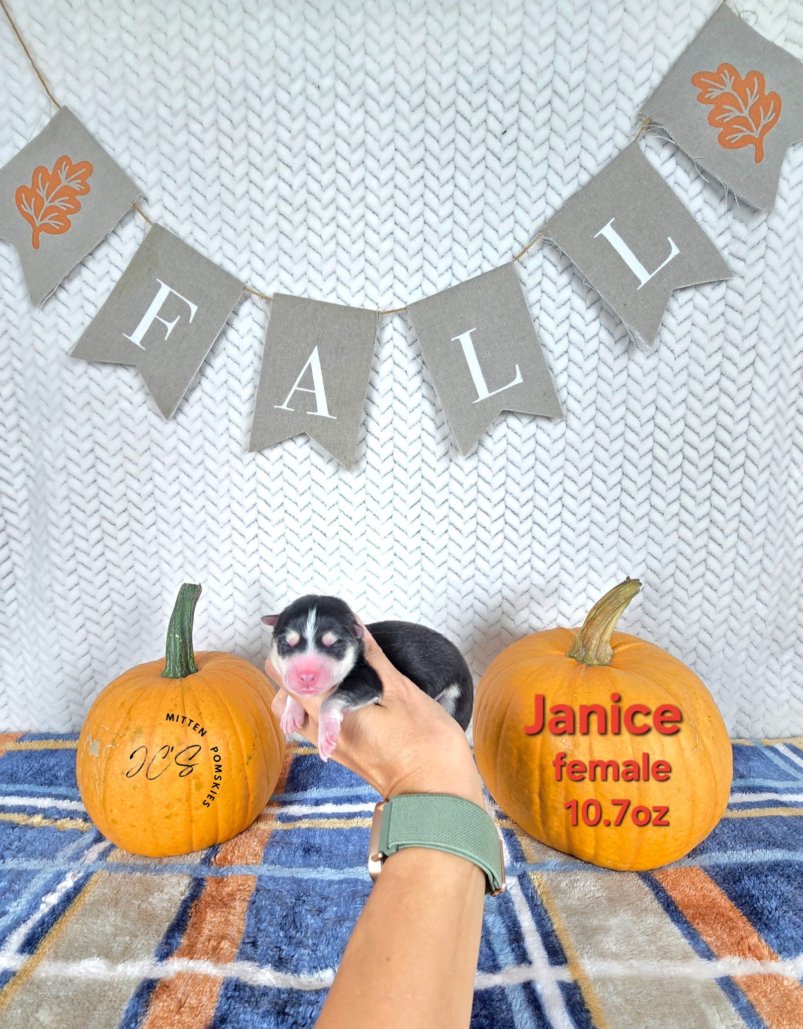 Janice (FEMALE)