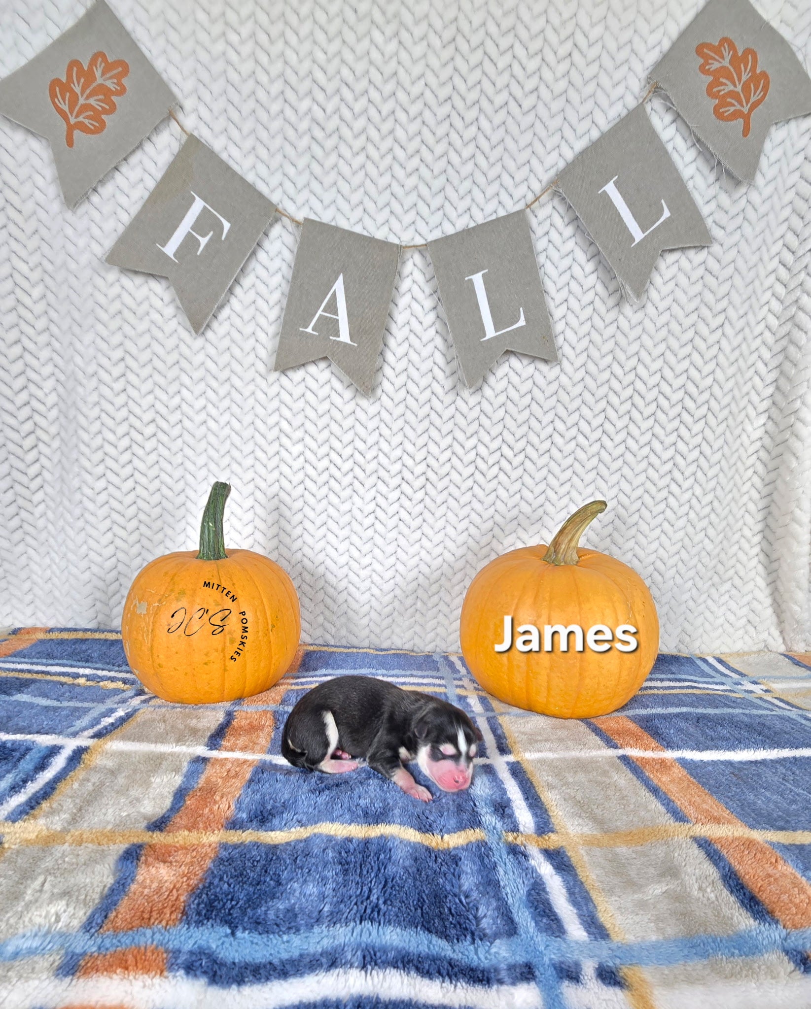 James (MALE)