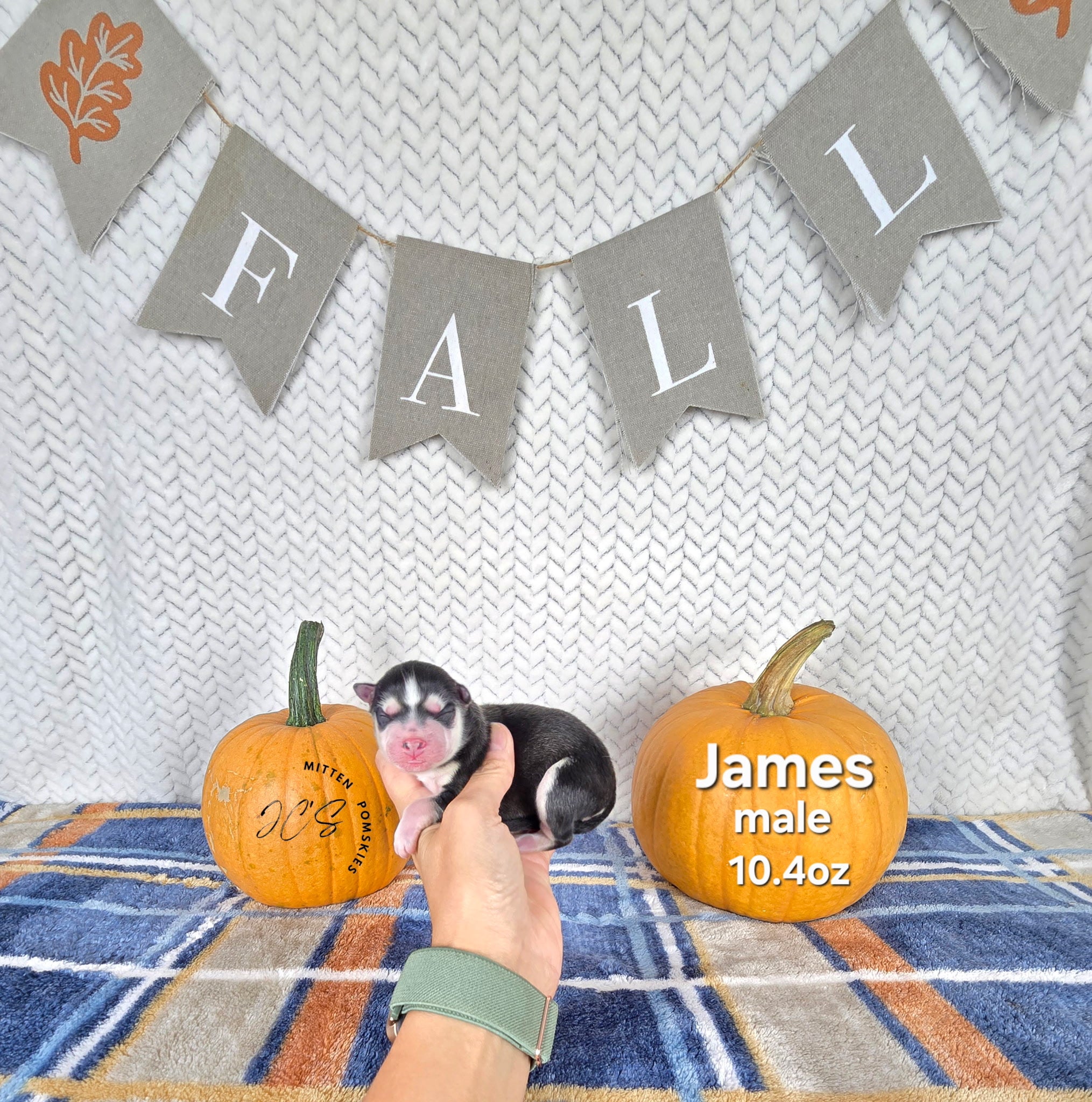 James (MALE)
