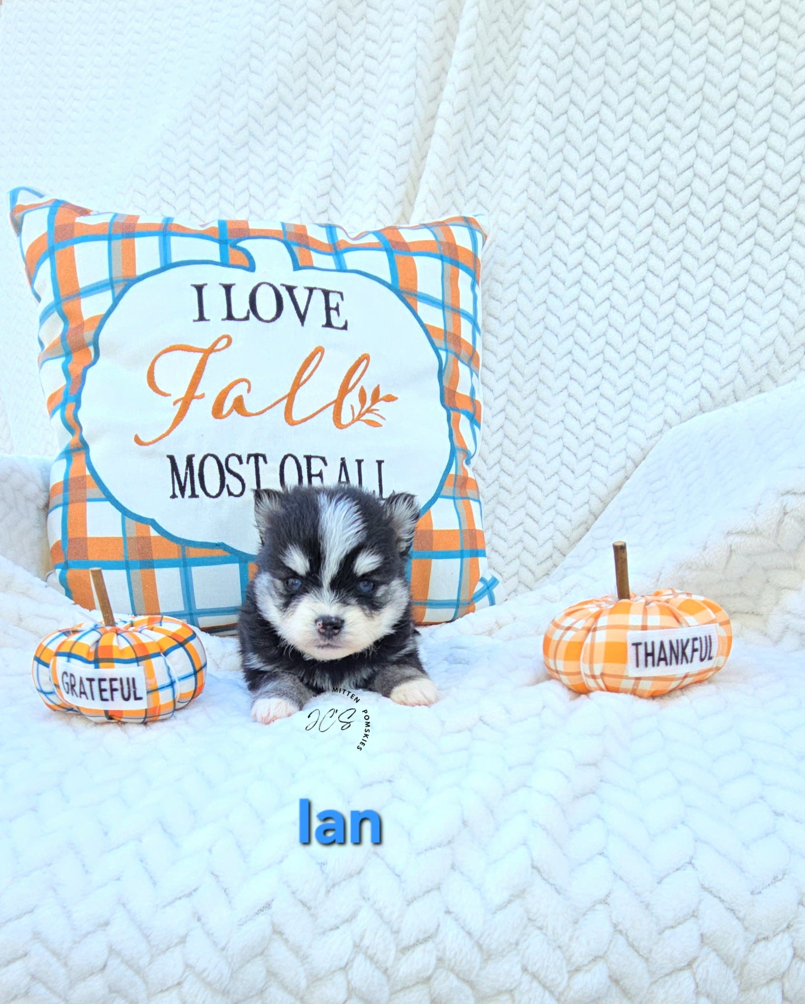 Ian (MALE) Micro