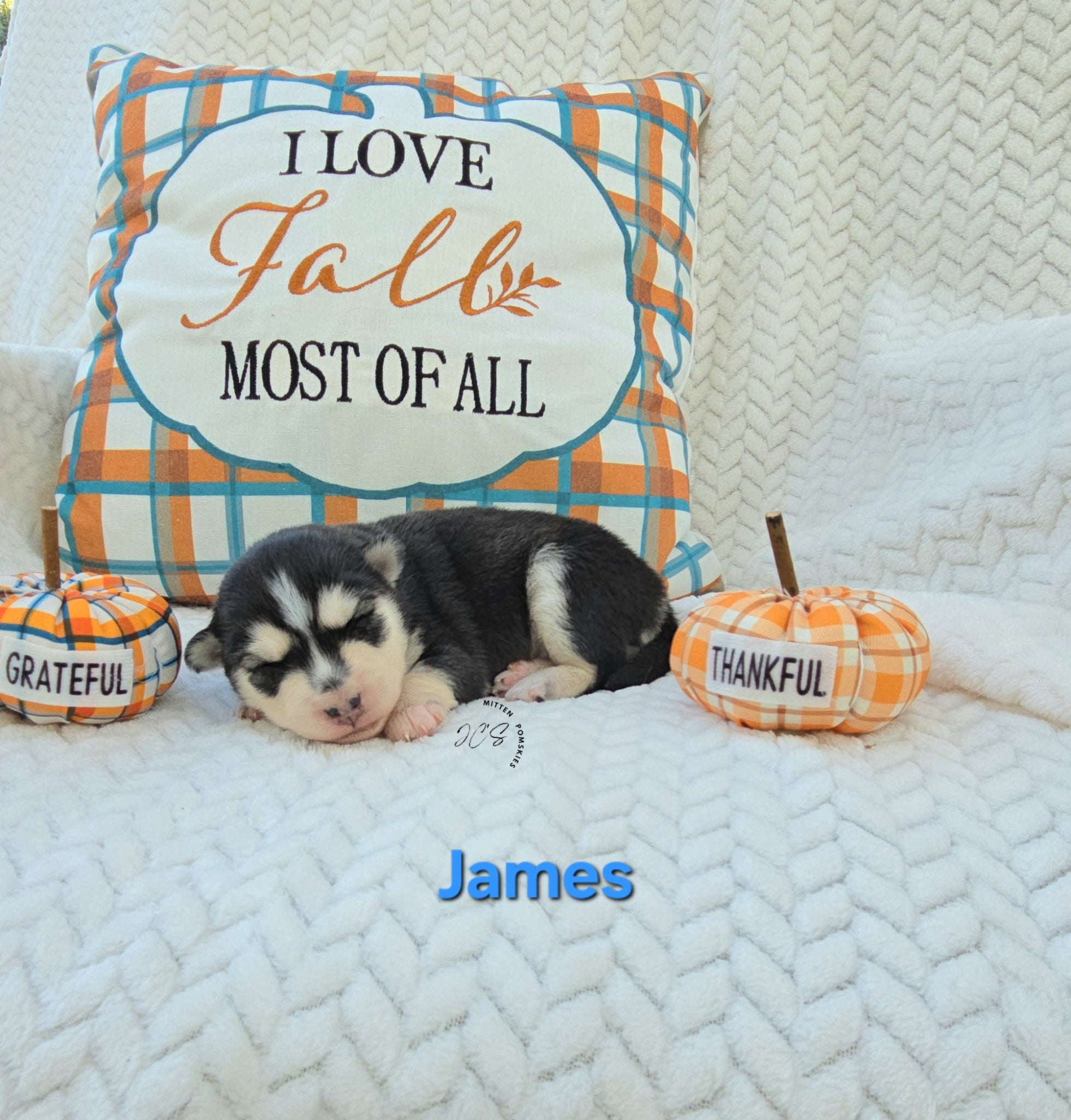 James (MALE)