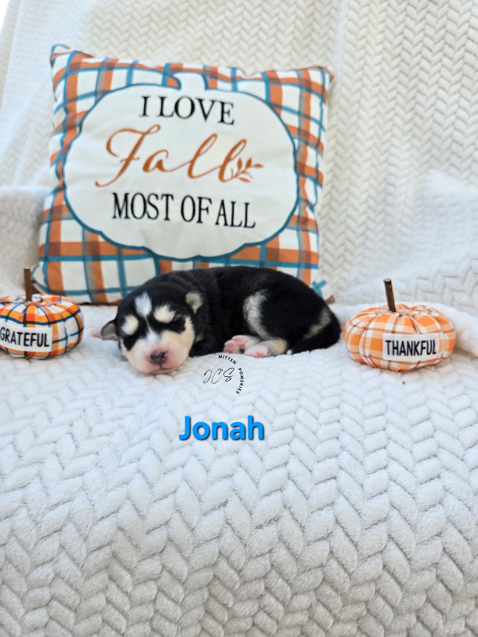 Jonah (MALE)
